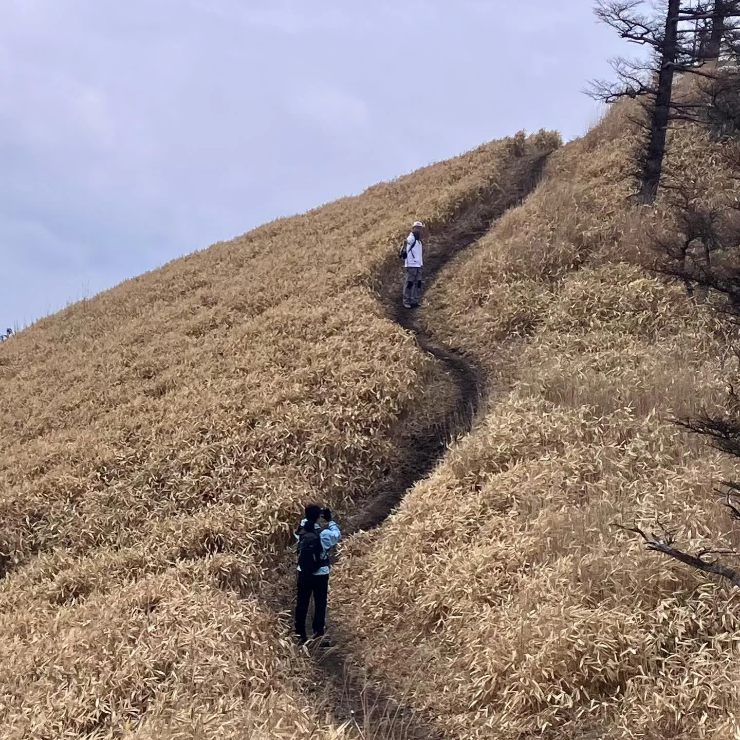 くじゅうの猟師岳にのぼりませんか?