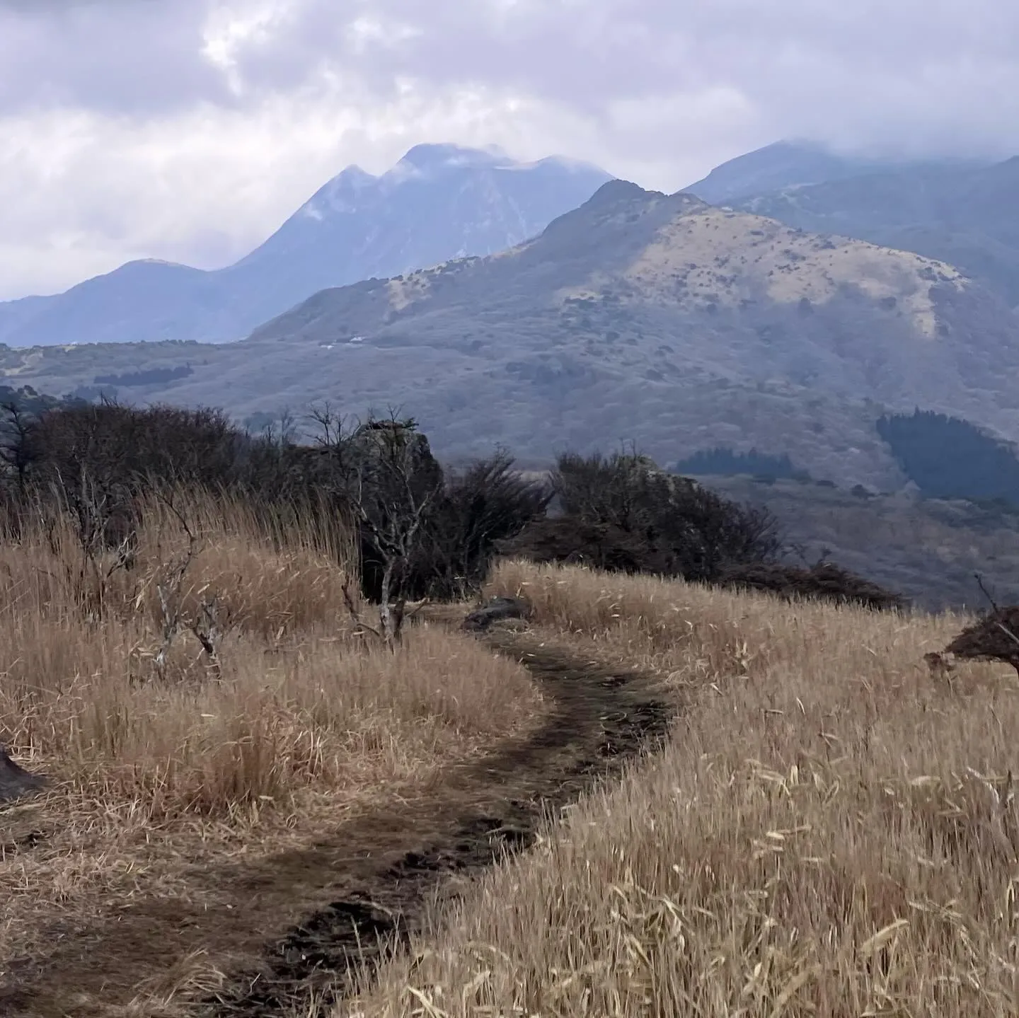 くじゅうの猟師岳にのぼりませんか?