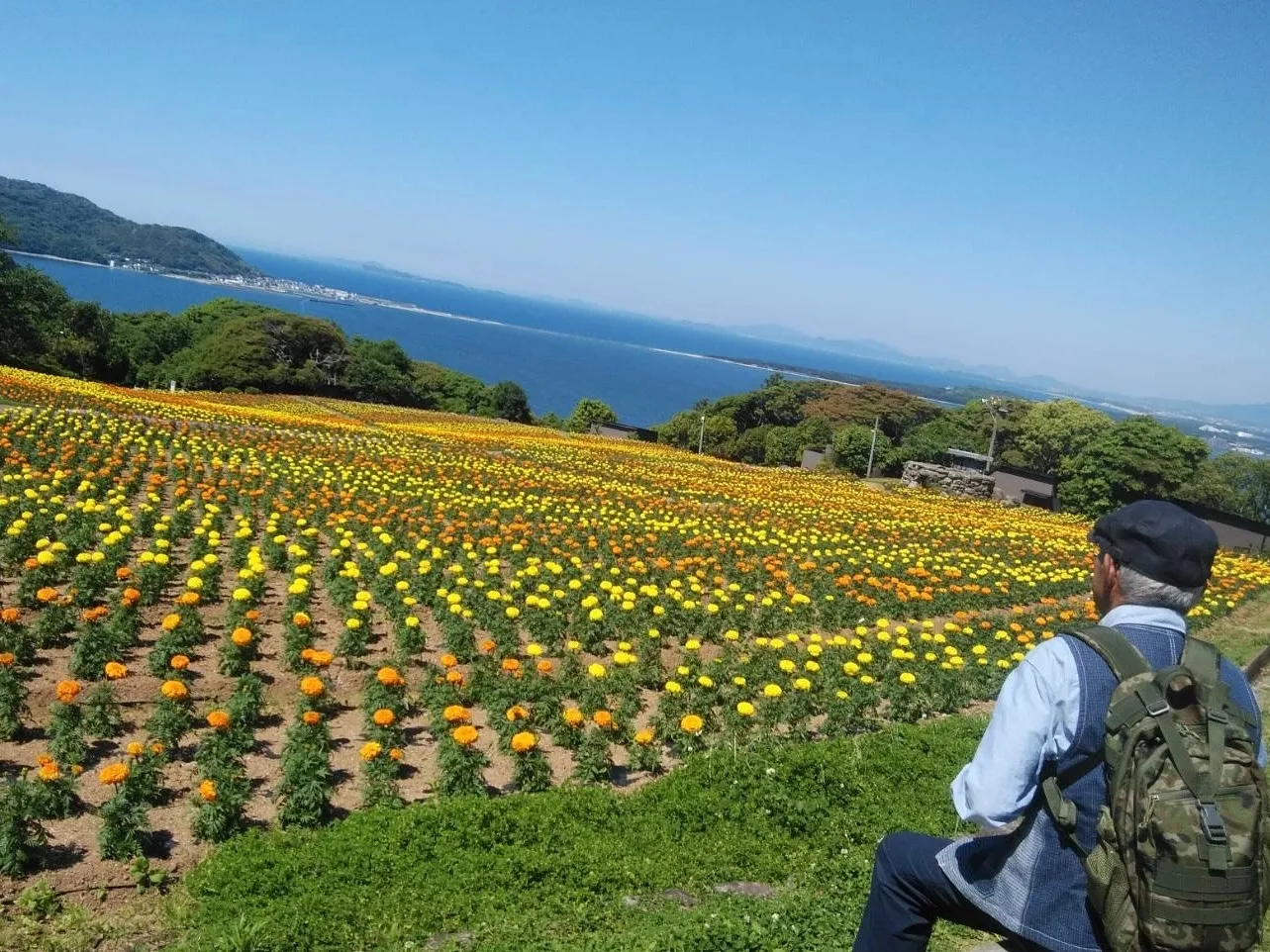 小学校の同窓会