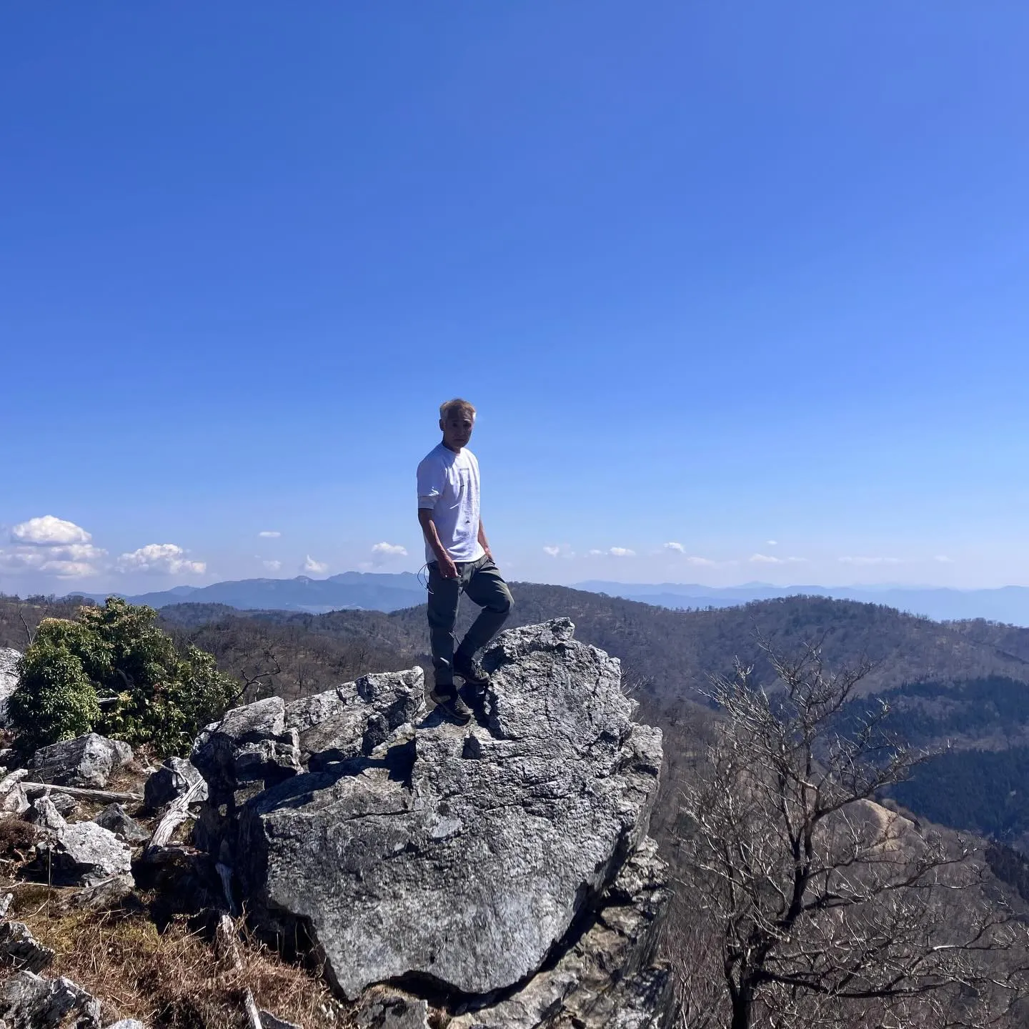 九州脊梁にある上福根山と前福根山は、まさに自然の宝庫🌿