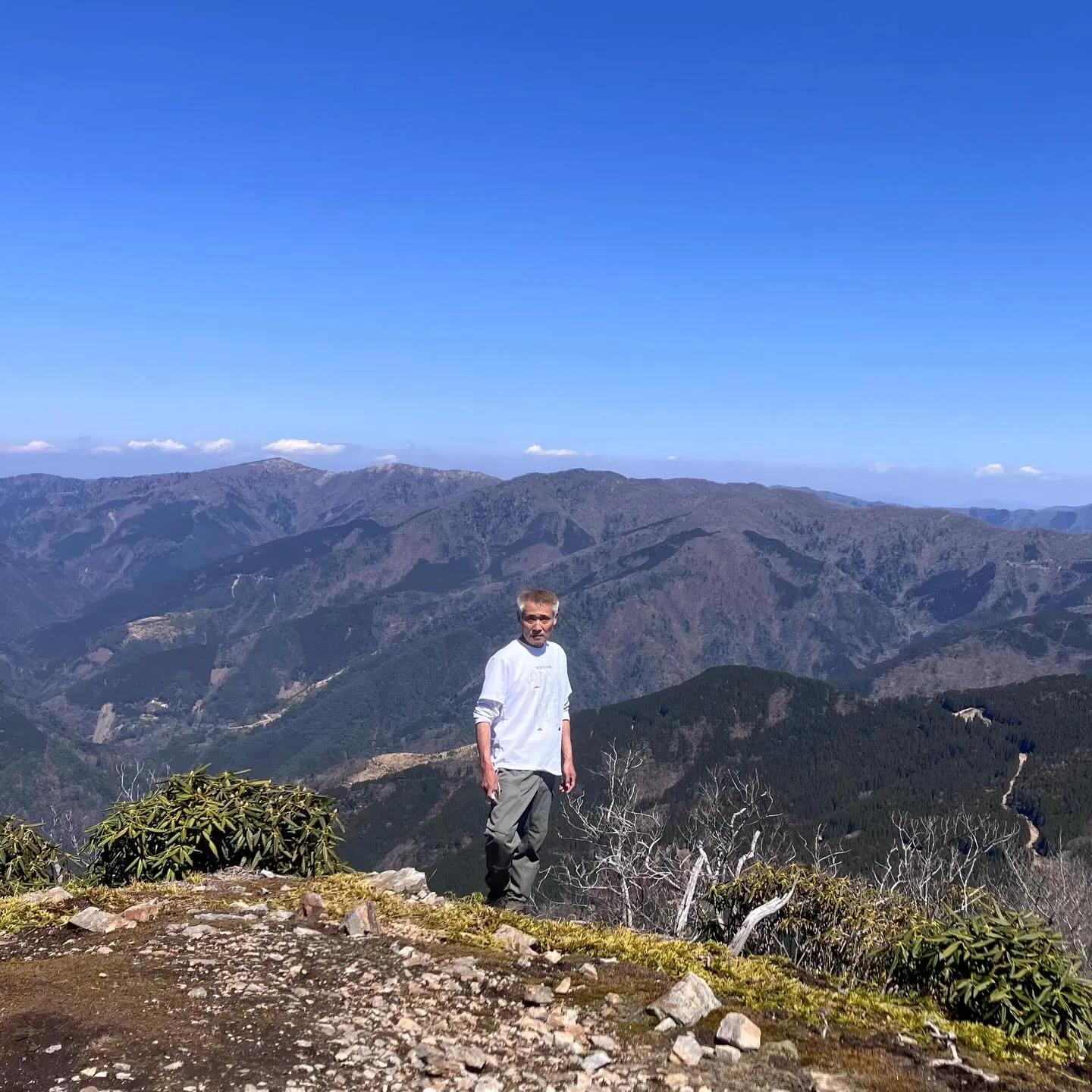 九州脊梁にある上福根山と前福根山は、まさに自然の宝庫🌿