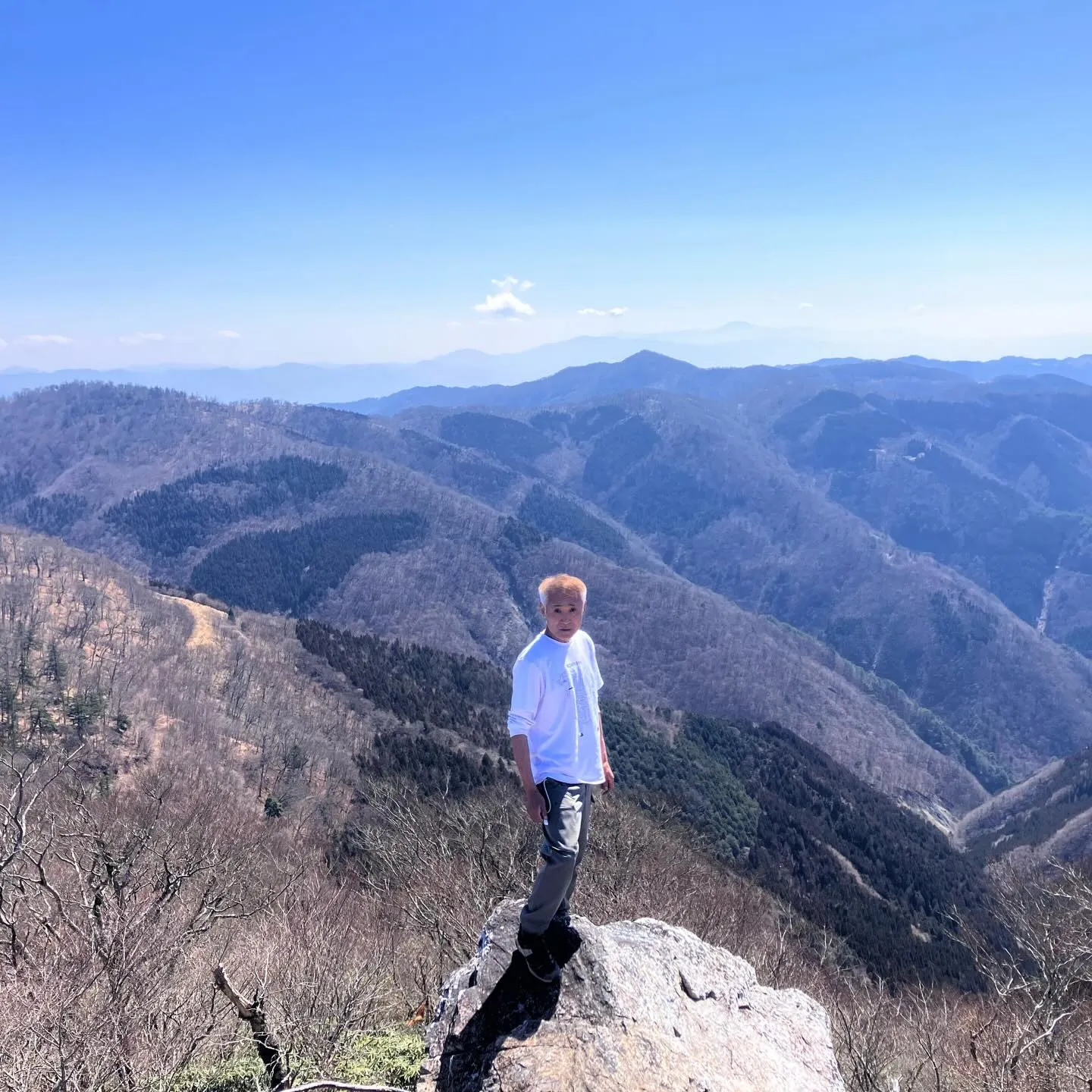 九州脊梁にある上福根山と前福根山は、まさに自然の宝庫🌿