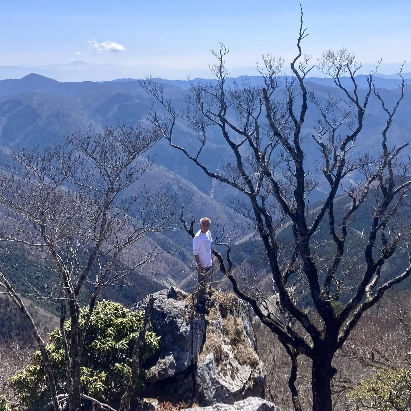 九州脊梁にある上福根山と前福根山は、まさに自然の宝庫🌿