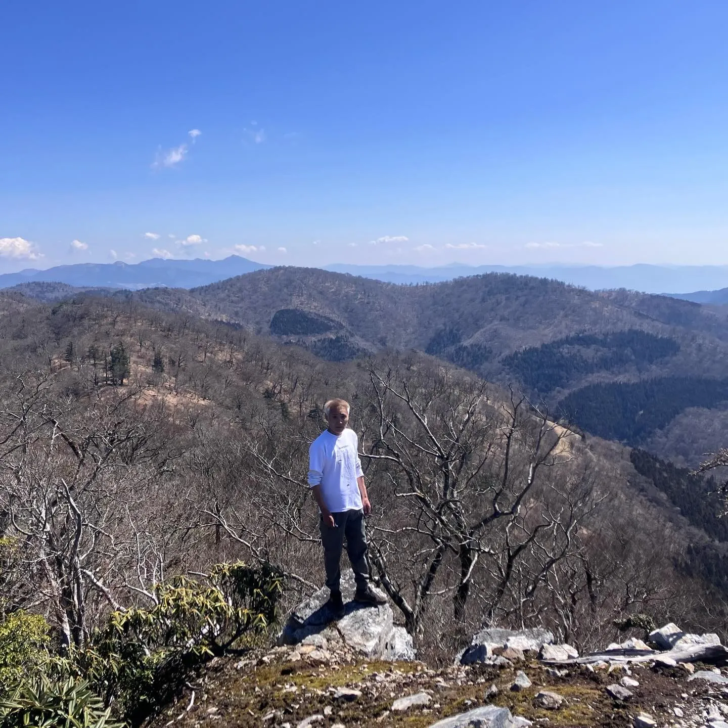 九州脊梁にある上福根山と前福根山は、まさに自然の宝庫🌿