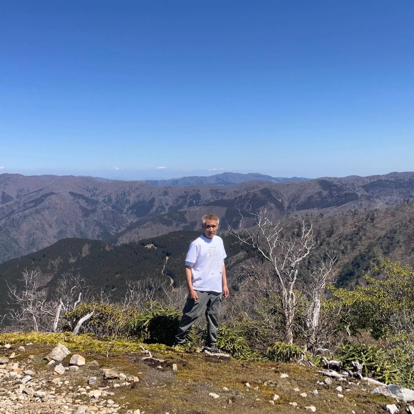 九州脊梁にある上福根山と前福根山は、まさに自然の宝庫🌿