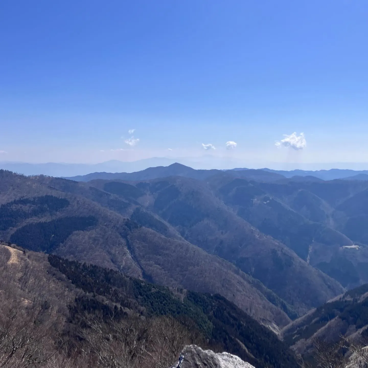 九州脊梁にある上福根山と前福根山は、まさに自然の宝庫🌿