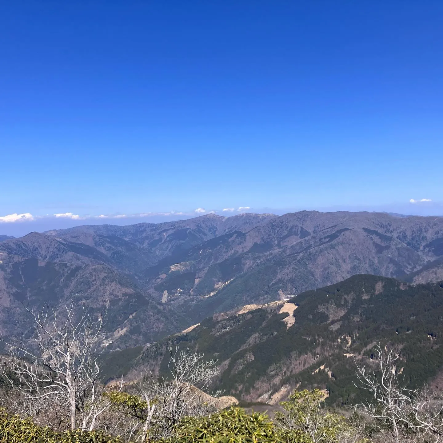 九州脊梁にある上福根山と前福根山は、まさに自然の宝庫🌿