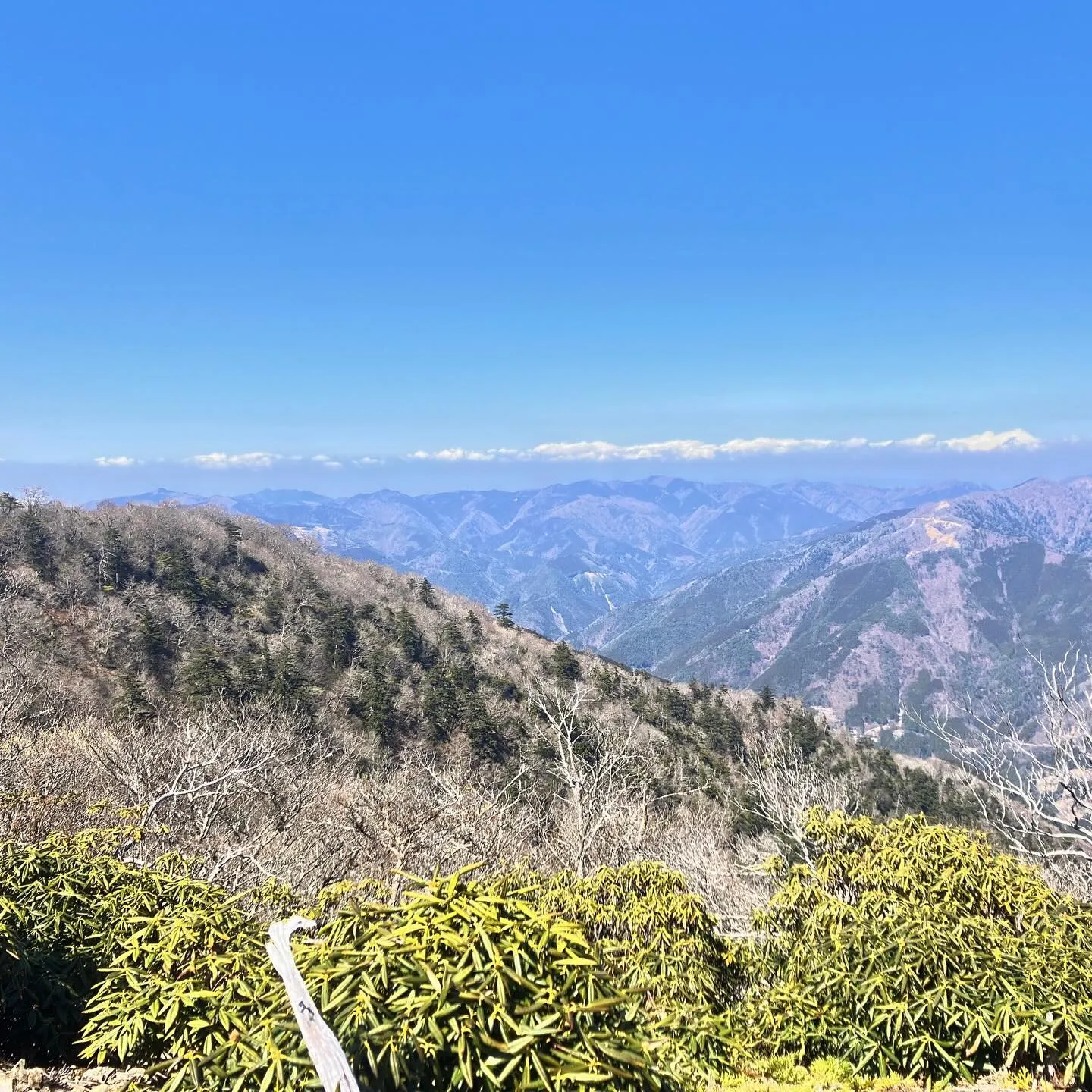 九州脊梁にある上福根山と前福根山は、まさに自然の宝庫🌿