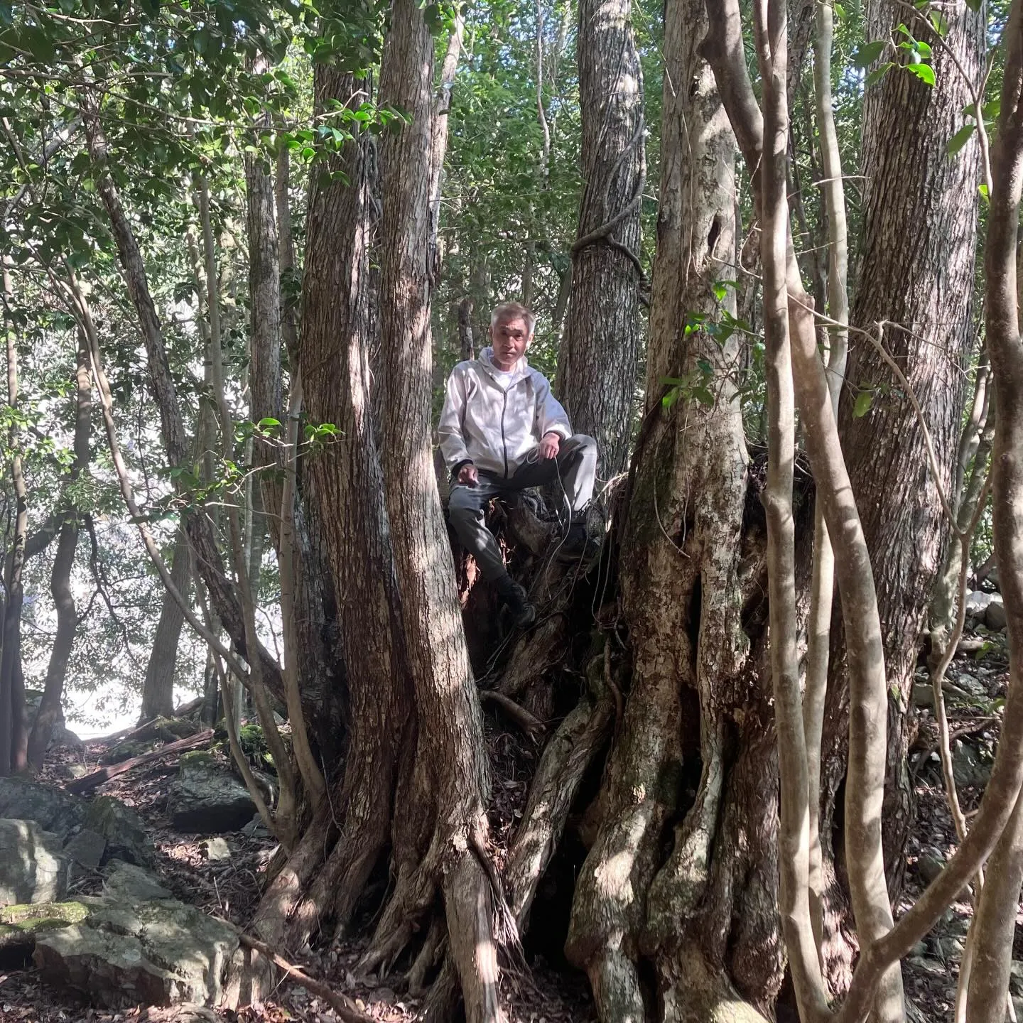 九州脊梁にある上福根山と前福根山は、まさに自然の宝庫🌿