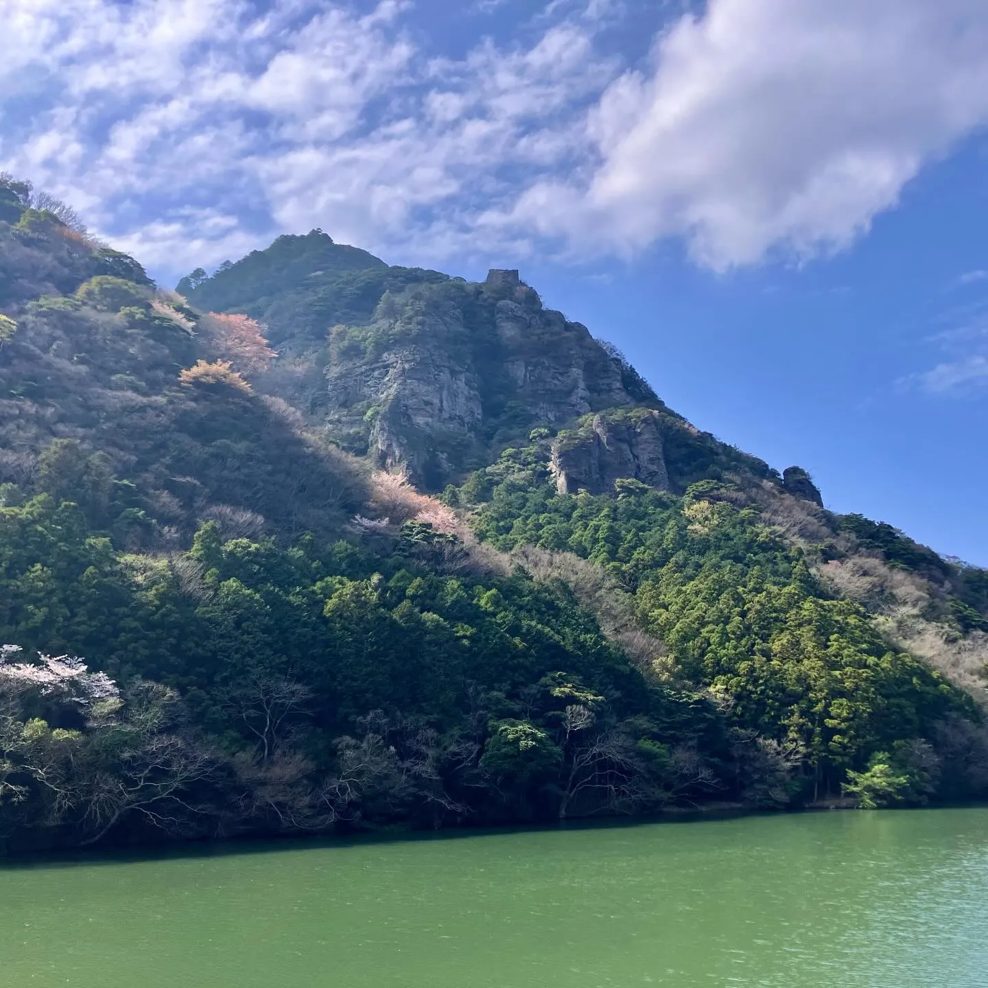 国東半島の美しい春を体験しませんか?🌸