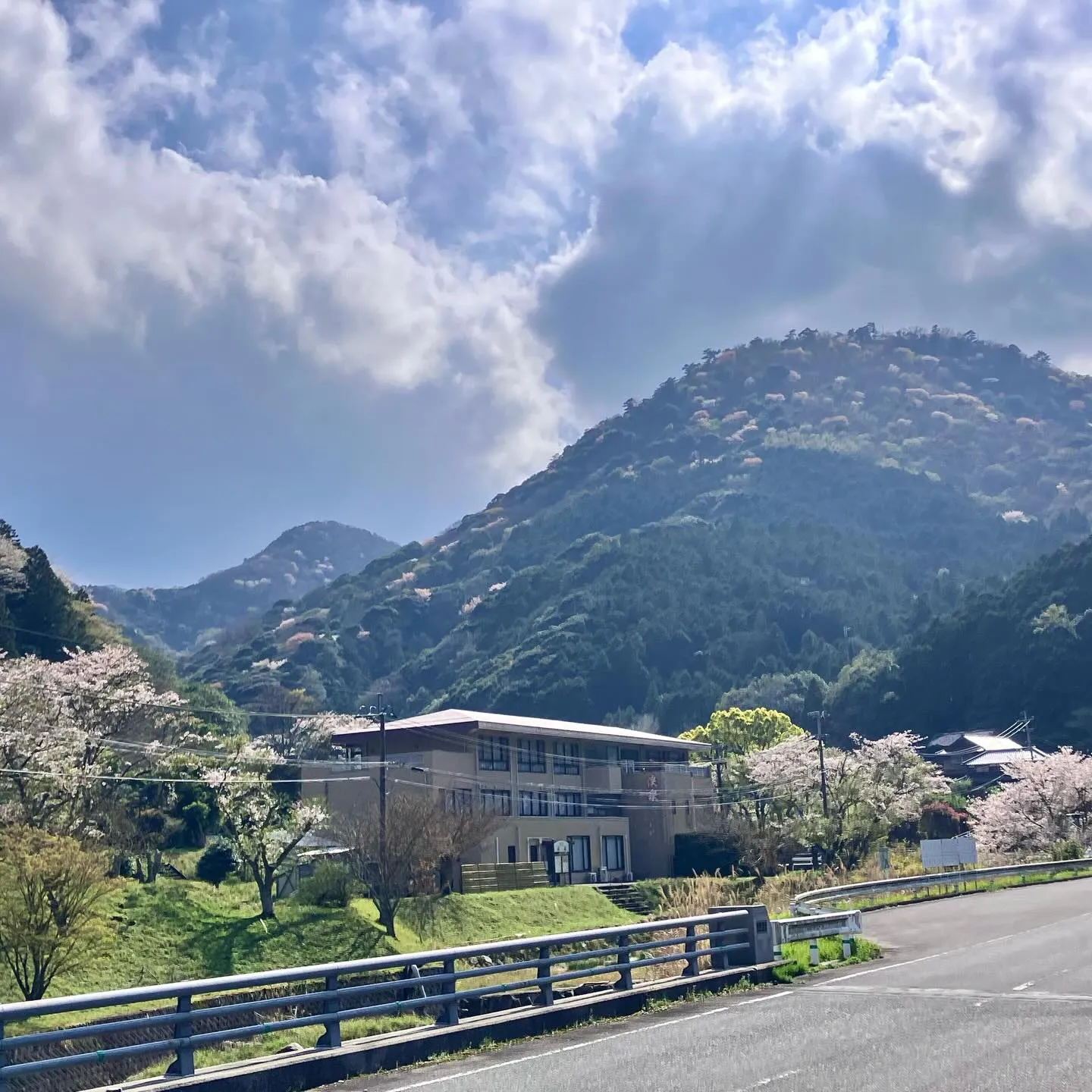 国東半島の美しい春を体験しませんか?🌸