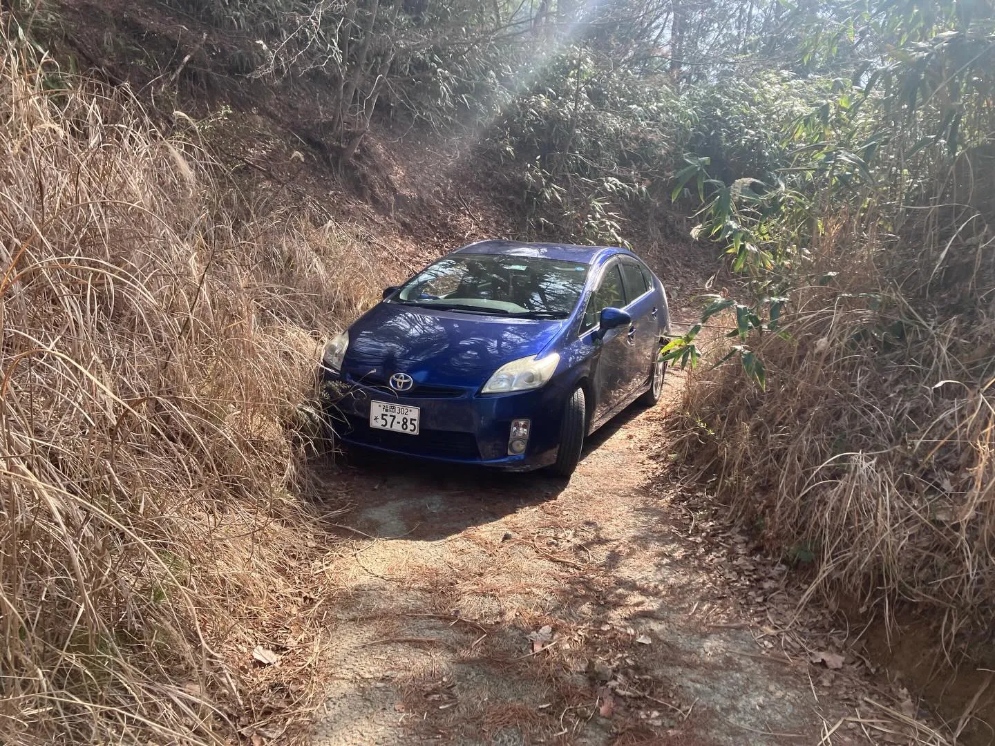 九州の秘境の山々を発見したいと思っている冒険好きの皆さん!