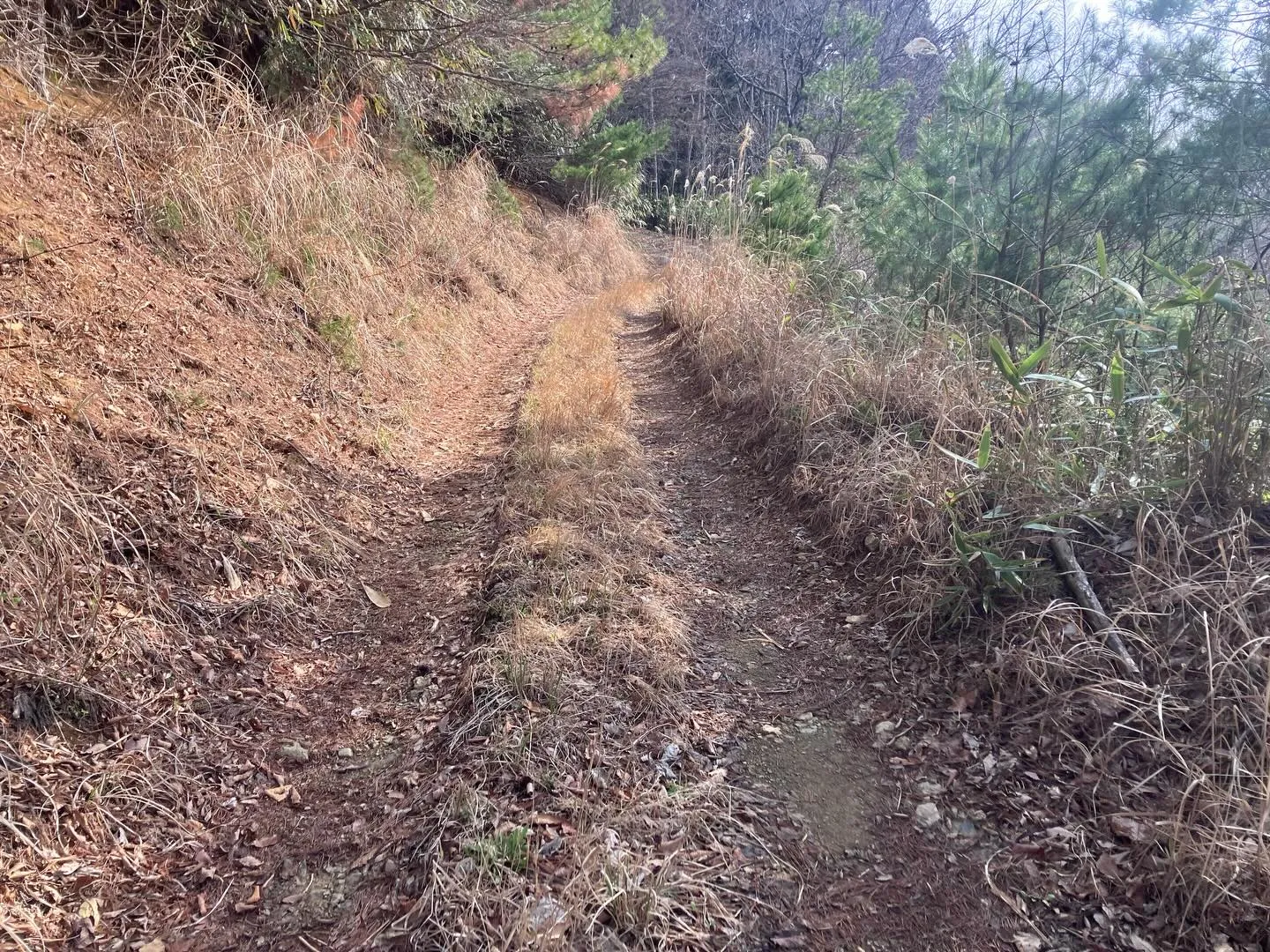 九州の秘境の山々を発見したいと思っている冒険好きの皆さん！