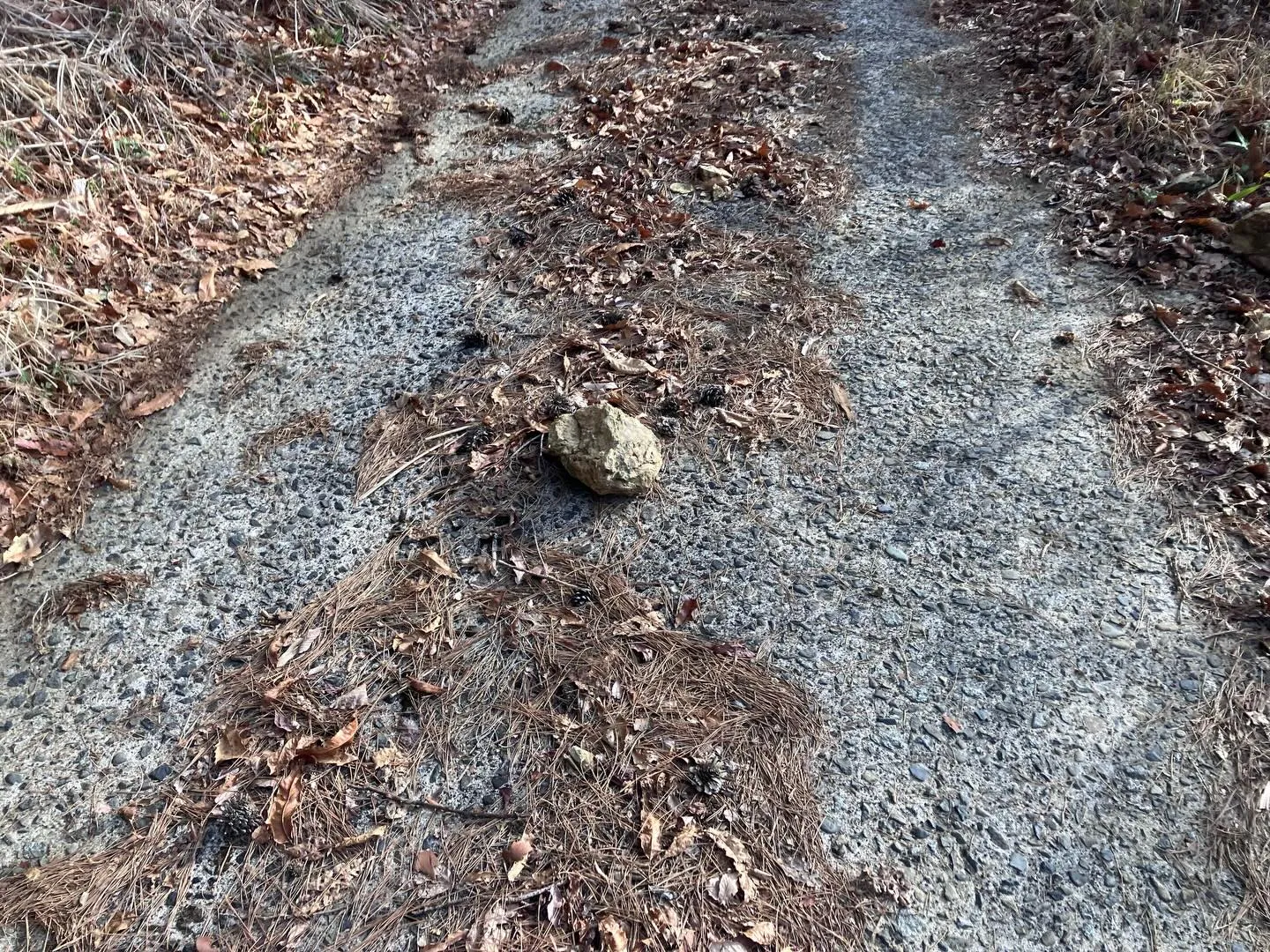 九州の秘境の山々を発見したいと思っている冒険好きの皆さん！
