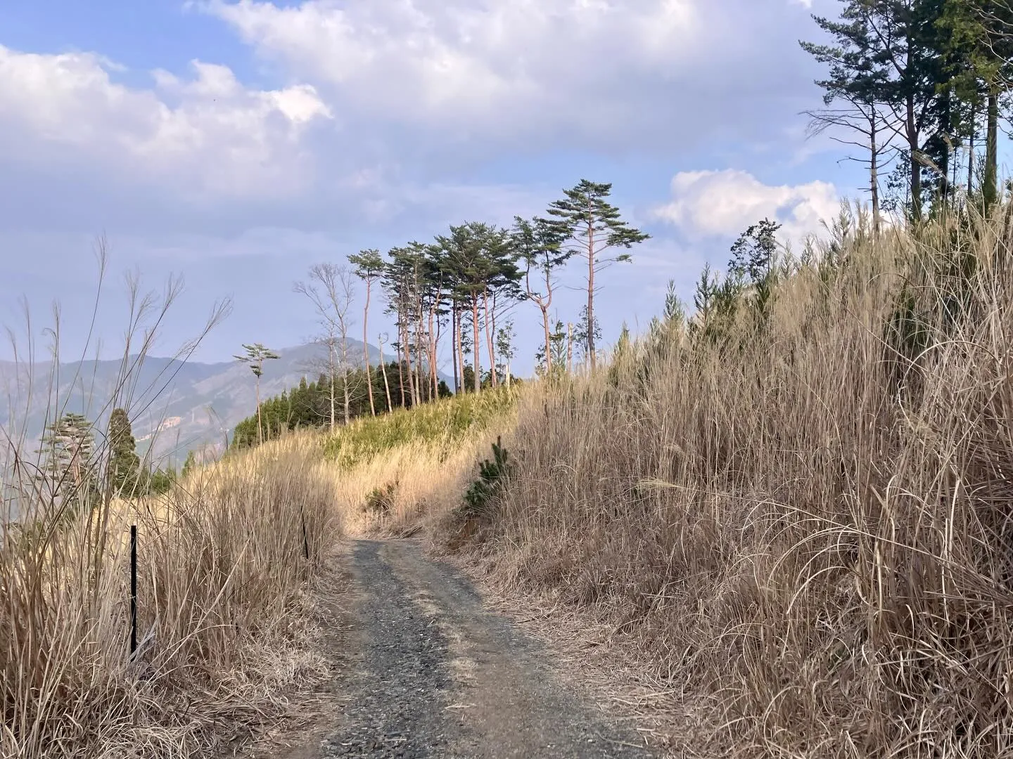 九州の秘境の山々を発見したいと思っている冒険好きの皆さん！