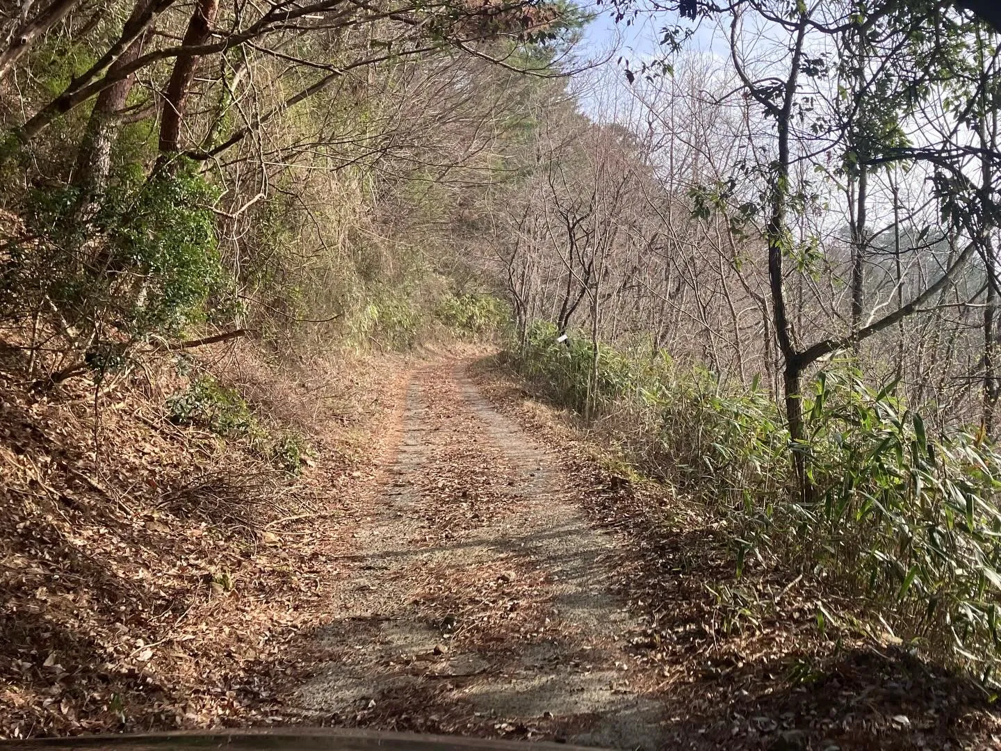 九州の秘境の山々を発見したいと思っている冒険好きの皆さん！