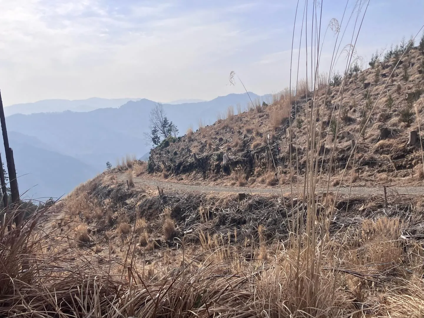 九州の秘境の山々を発見したいと思っている冒険好きの皆さん！