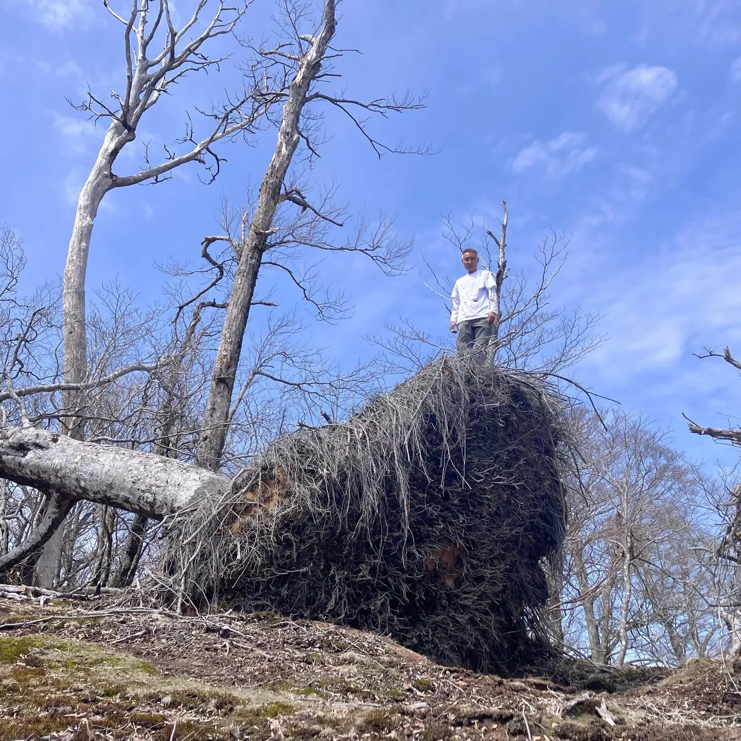✨ 九州の自然を満喫しませんか？✨
