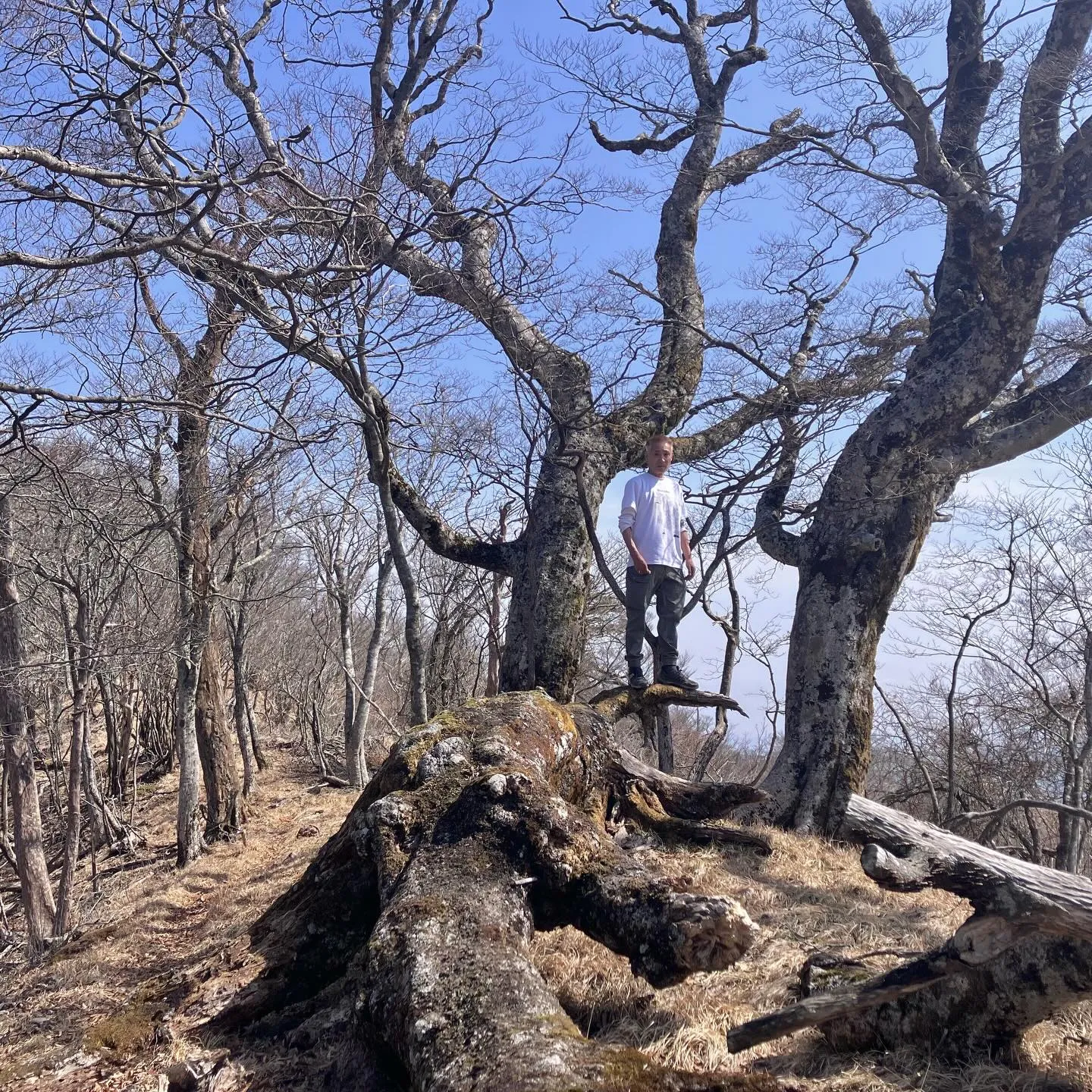 ✨ 九州の自然を満喫しませんか？✨
