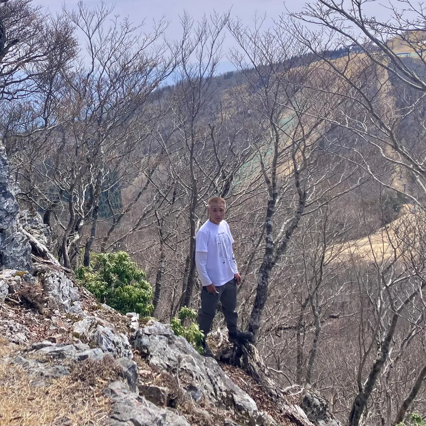 ✨ 九州の自然を満喫しませんか？✨