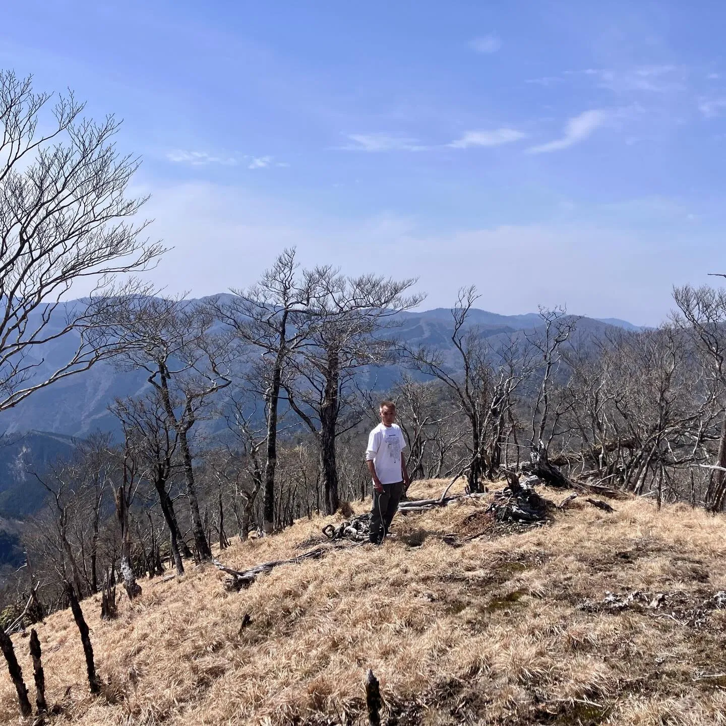 ✨ 九州の自然を満喫しませんか？✨