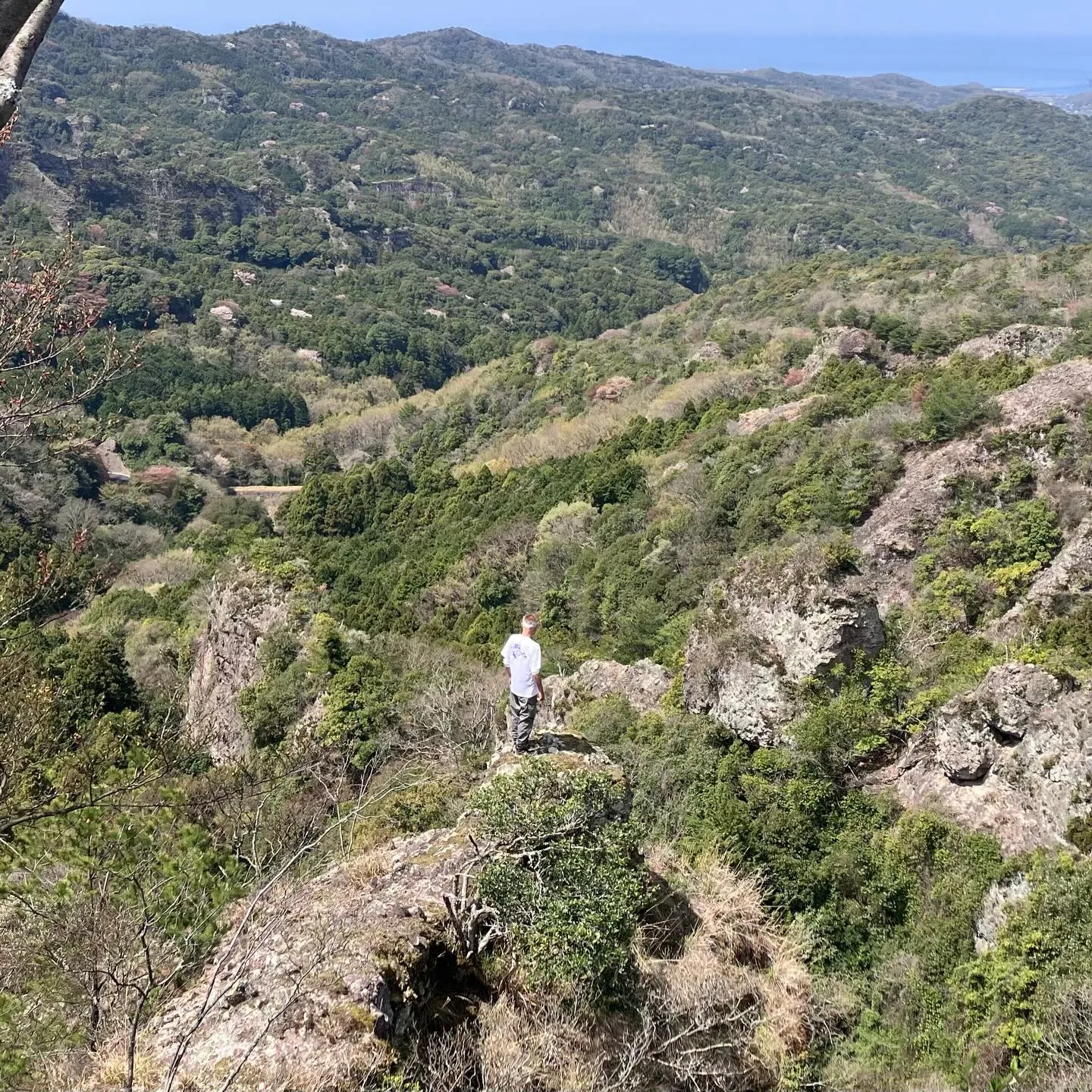 🌿古代からの歴史が息づく国東半島の六郷満山で心をクリアにしつ...