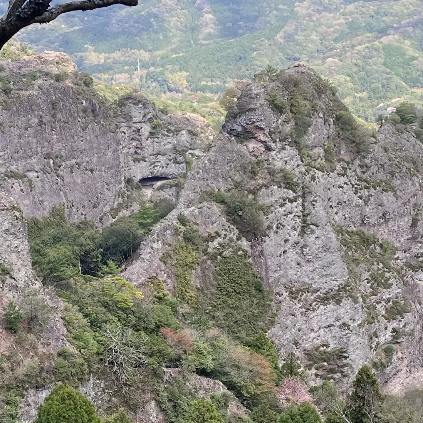 🌿古代からの歴史が息づく国東半島の六郷満山で心をクリアにしつ...