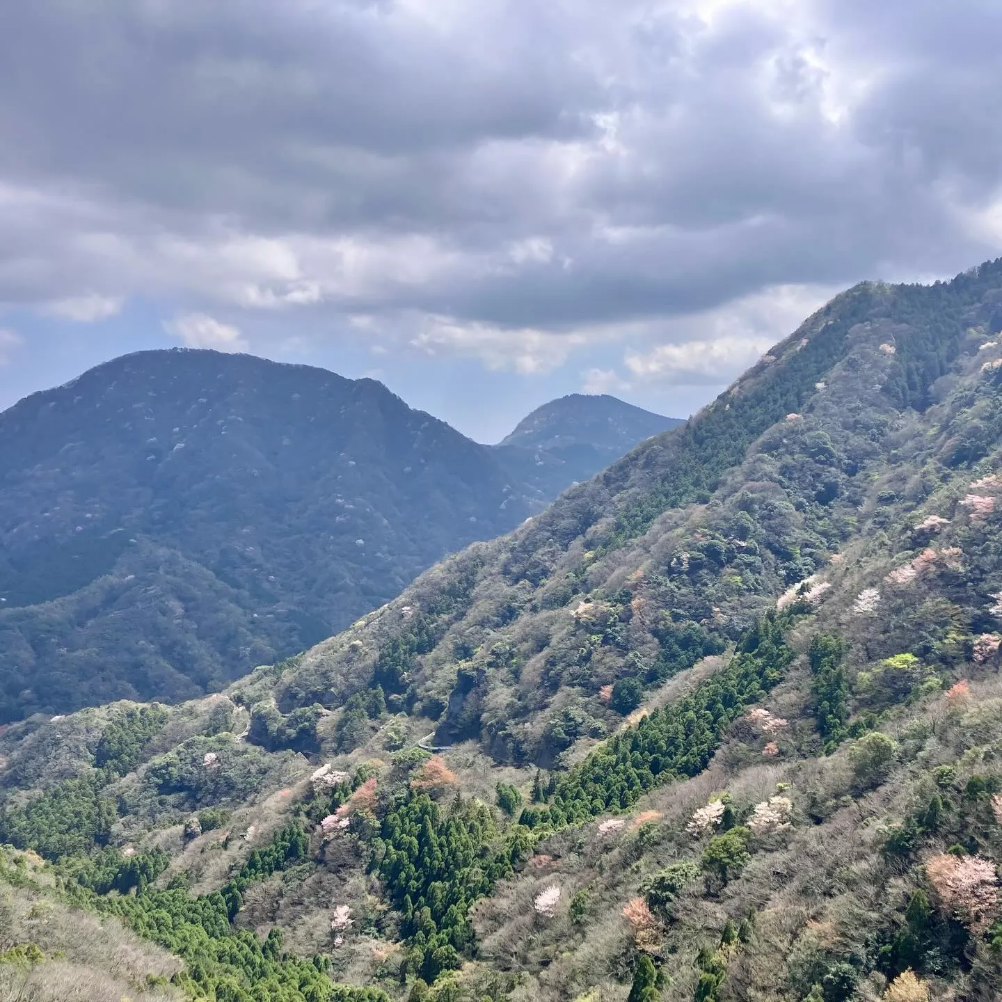 🌿古代からの歴史が息づく国東半島の六郷満山で心をクリアにしつ...
