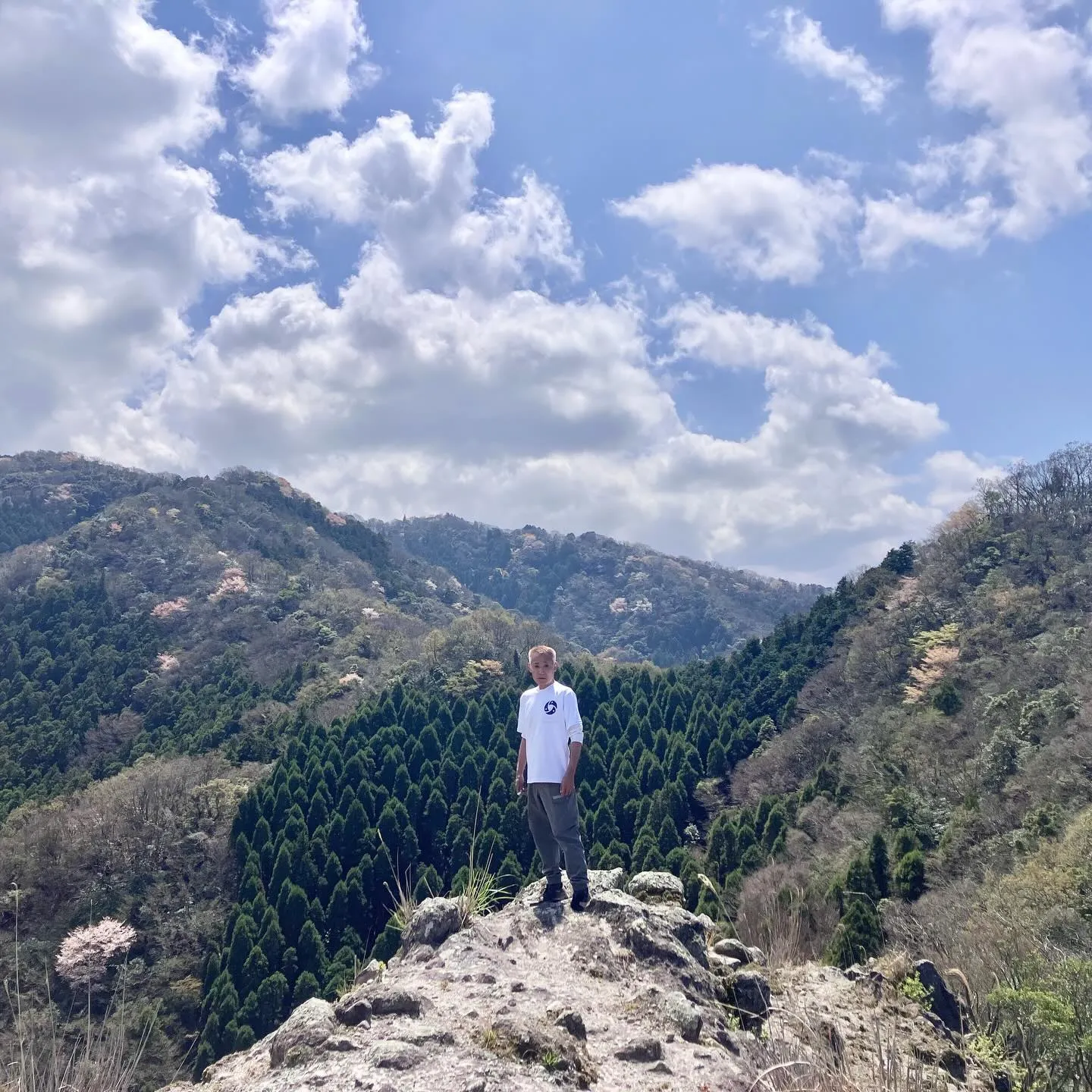 🌿古代からの歴史が息づく国東半島の六郷満山で心をクリアにしつ...