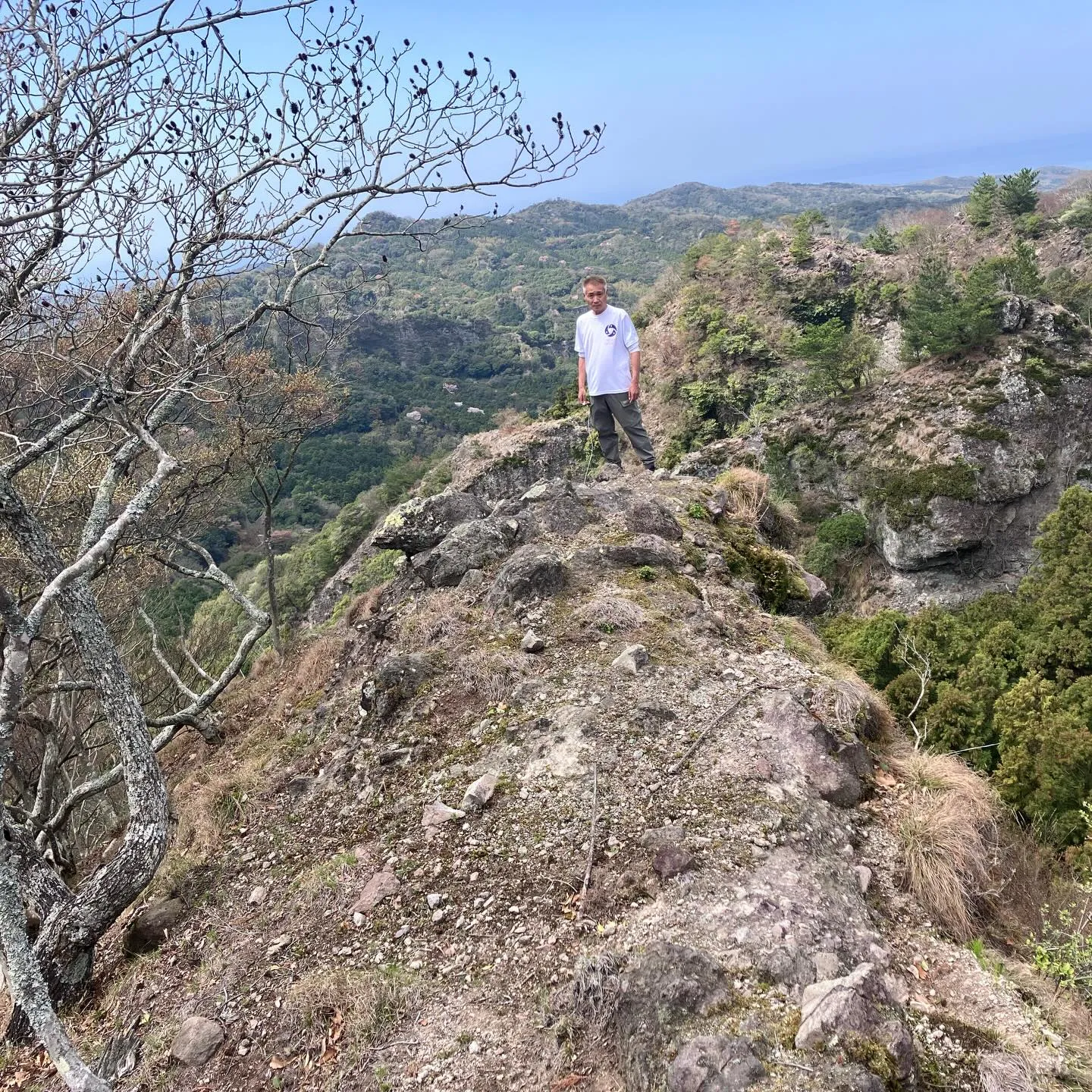 🌿古代からの歴史が息づく国東半島の六郷満山で心をクリアにしつ...
