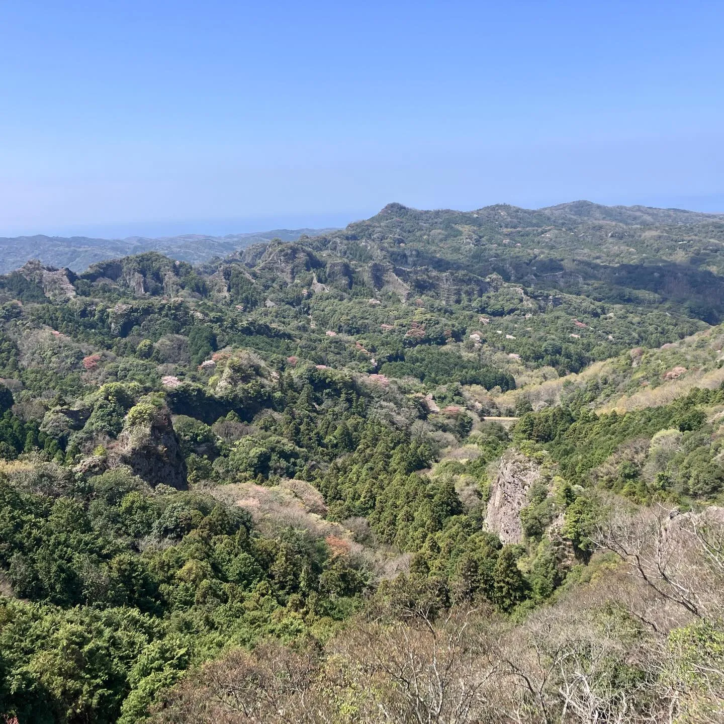 🌿古代からの歴史が息づく国東半島の六郷満山で心をクリアにしつ...
