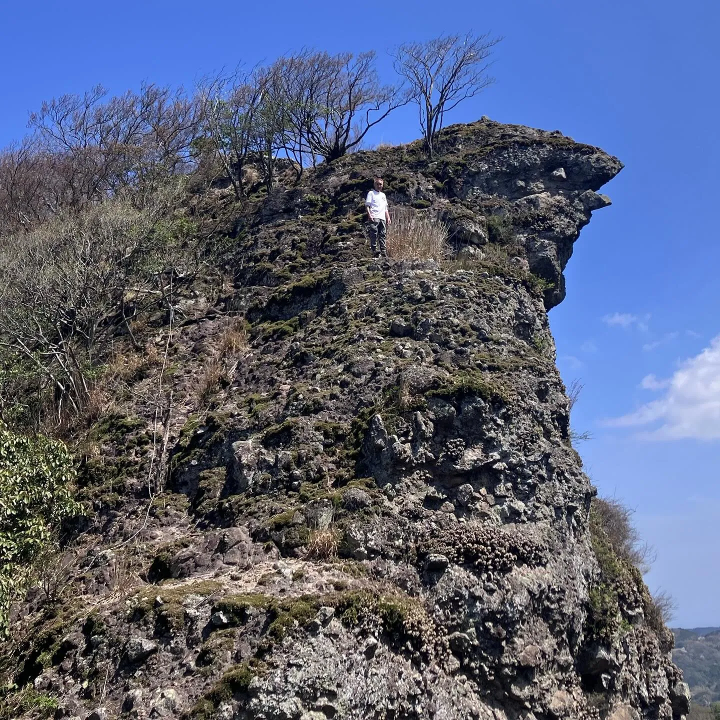 🌿古代からの歴史が息づく国東半島の六郷満山で心をクリアにしつ...
