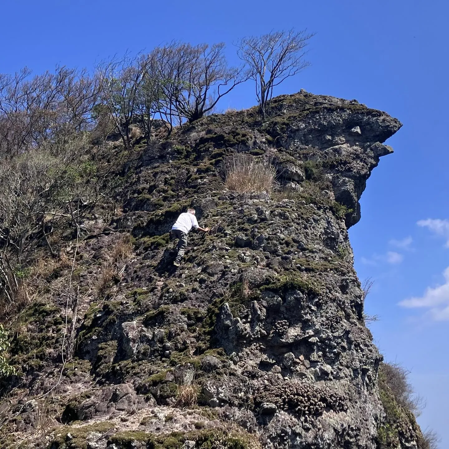 🌿古代からの歴史が息づく国東半島の六郷満山で心をクリアにしつ...