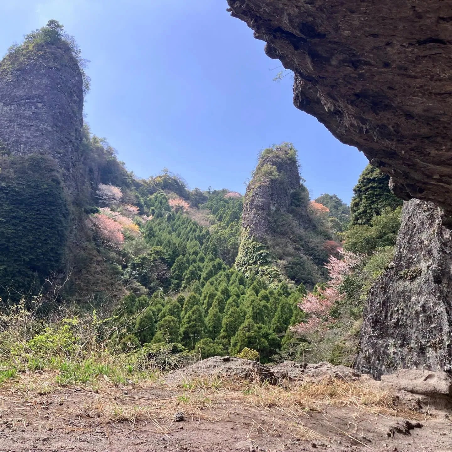 冒険好きの方にお勧めの大分県国東半島🌿