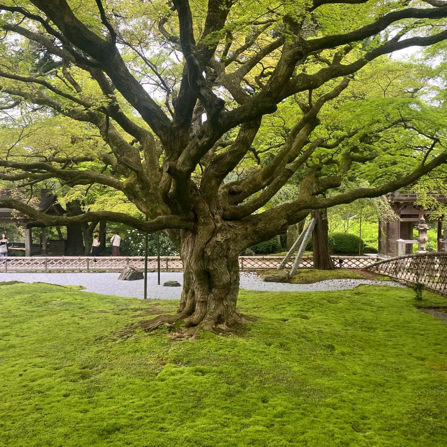 糸島をご案内しました🌿✨