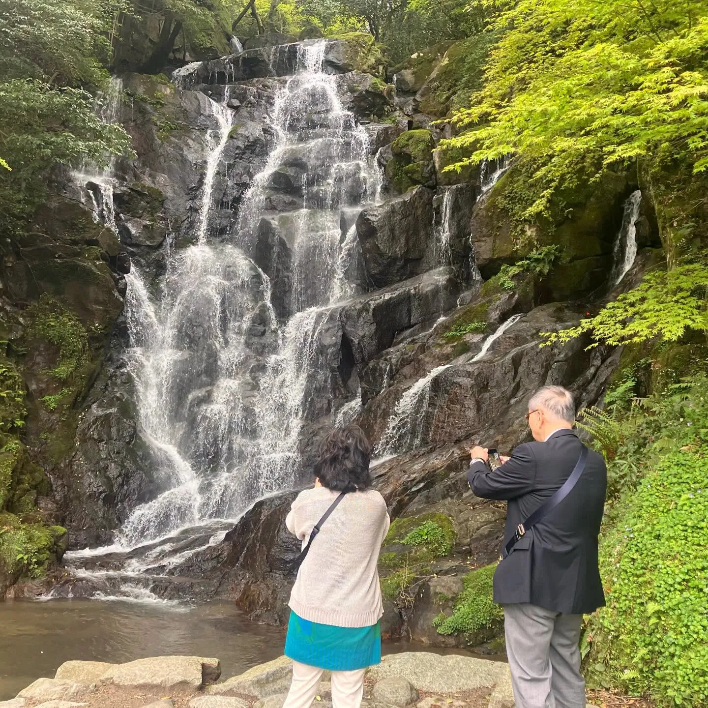 糸島をご案内しました🌿✨