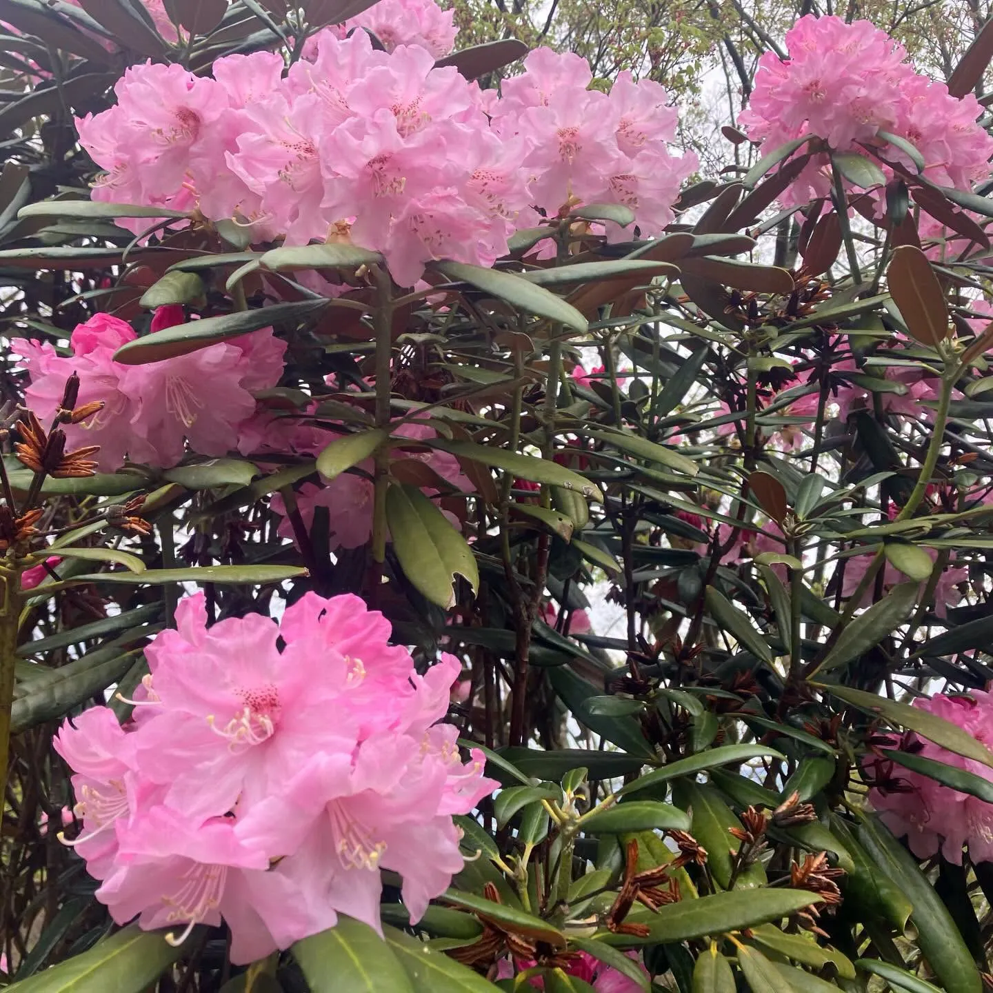 糸島をご案内しました🌿✨