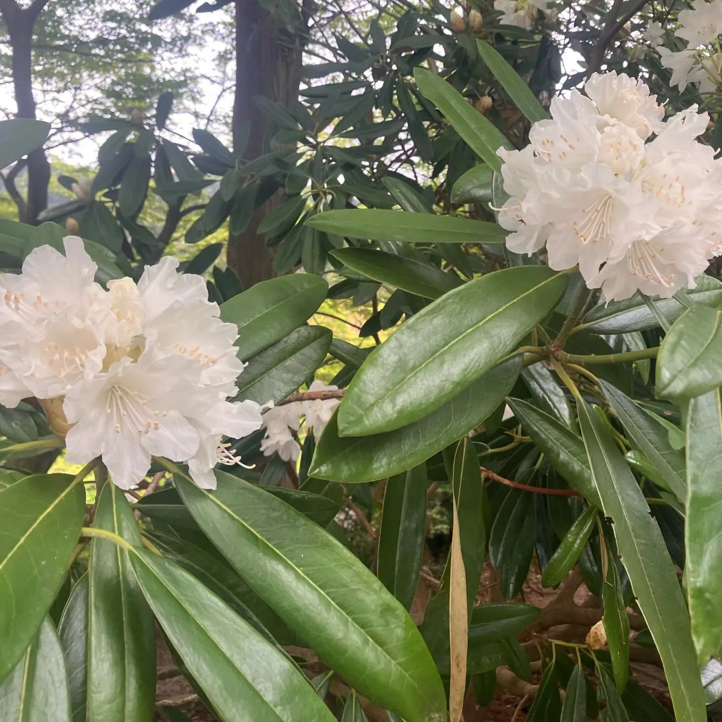 糸島をご案内しました🌿✨