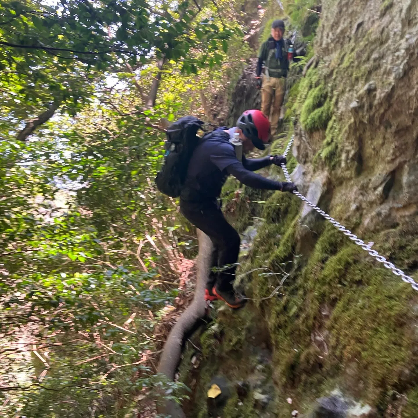 お2人を国東半島の津波戸山までご案内🚶‍➡️