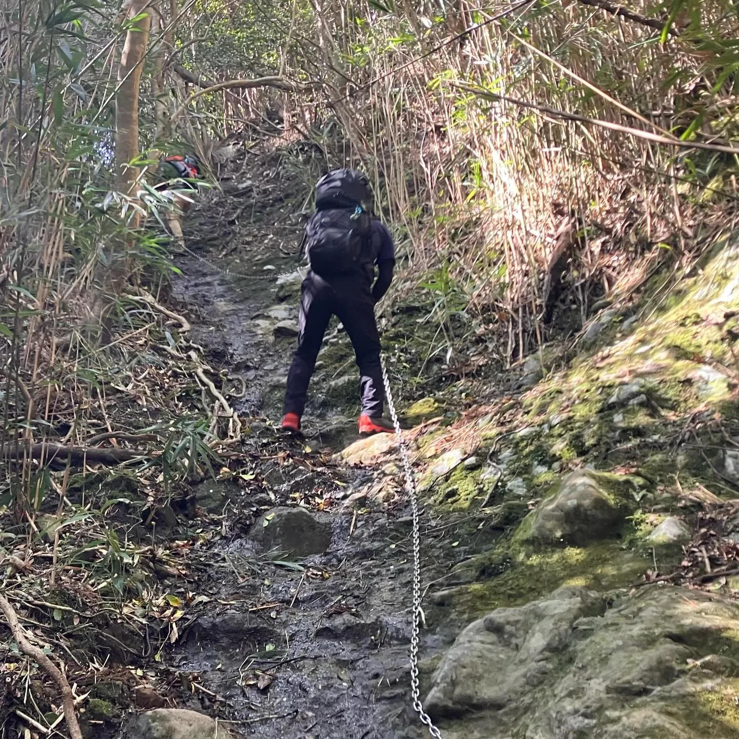お2人を国東半島の津波戸山までご案内🚶‍➡️