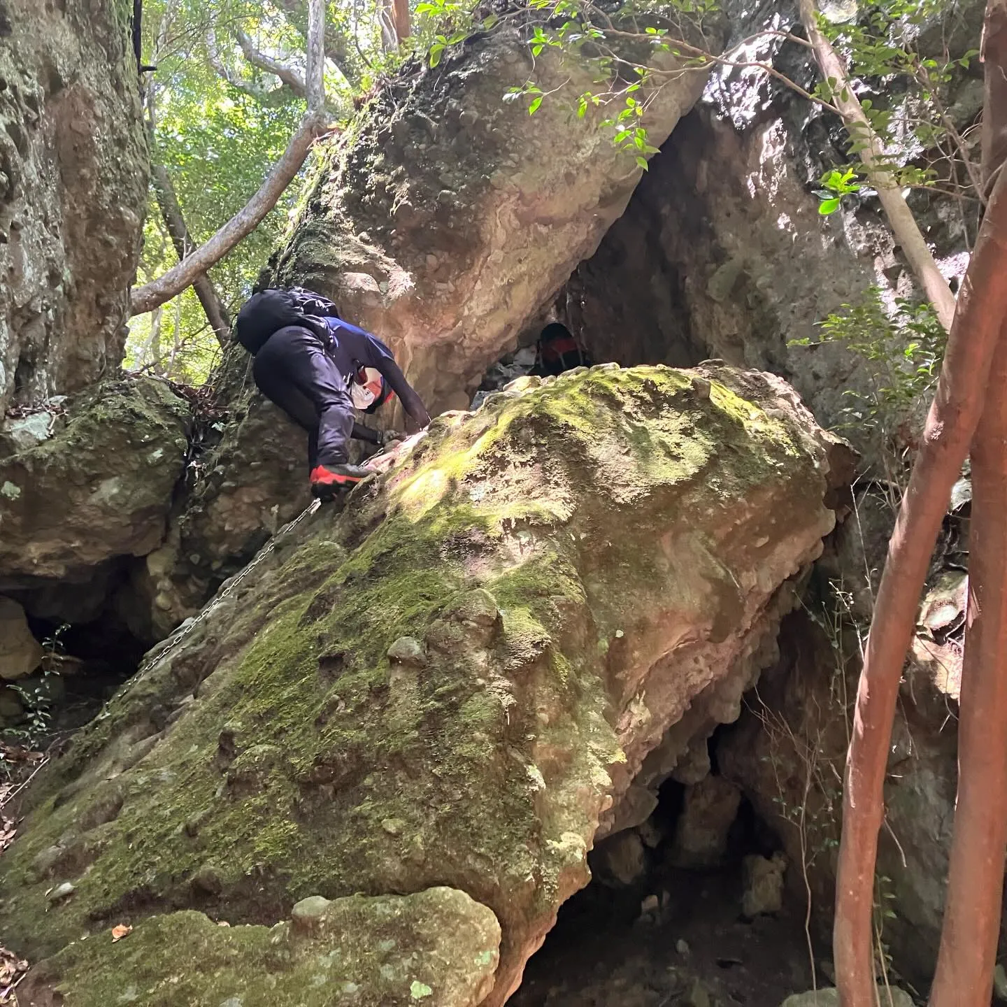 お2人を国東半島の津波戸山までご案内🚶‍➡️