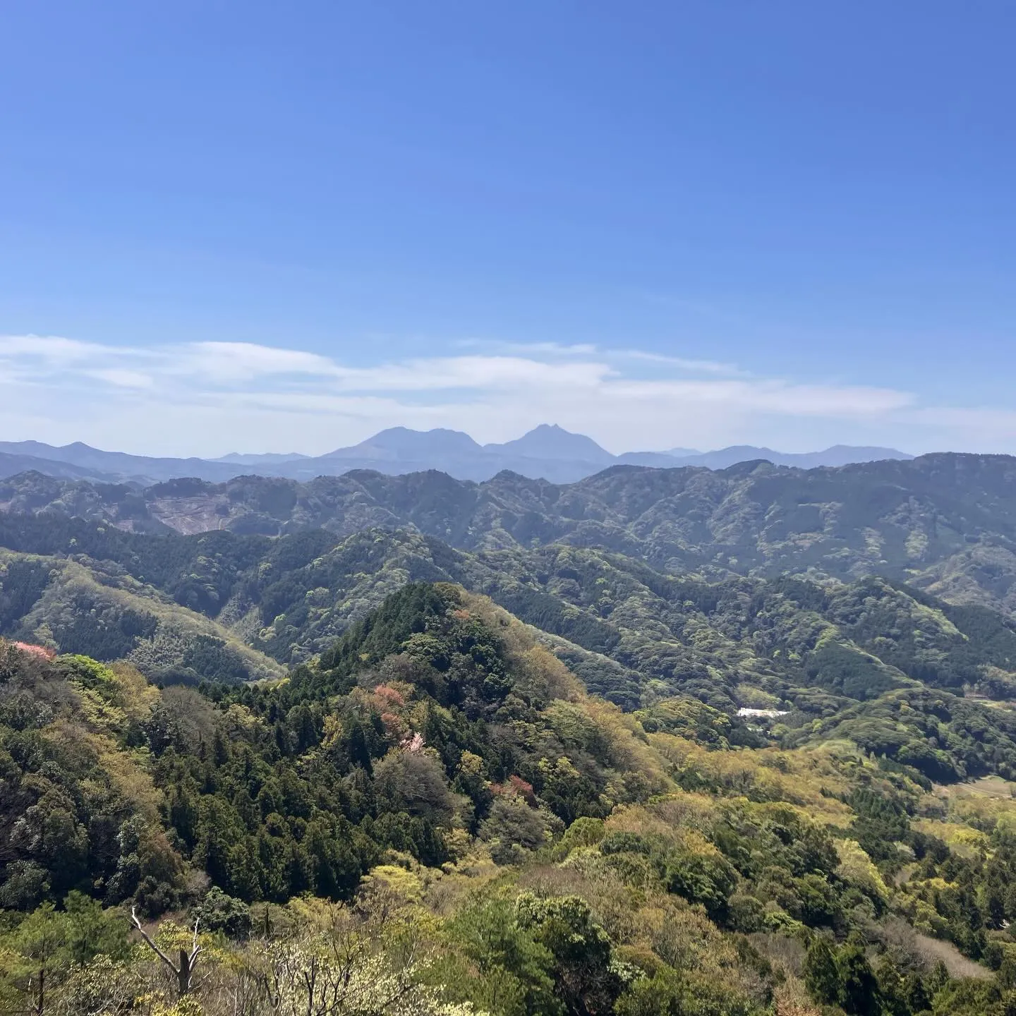 お2人を国東半島の津波戸山までご案内🚶‍➡️