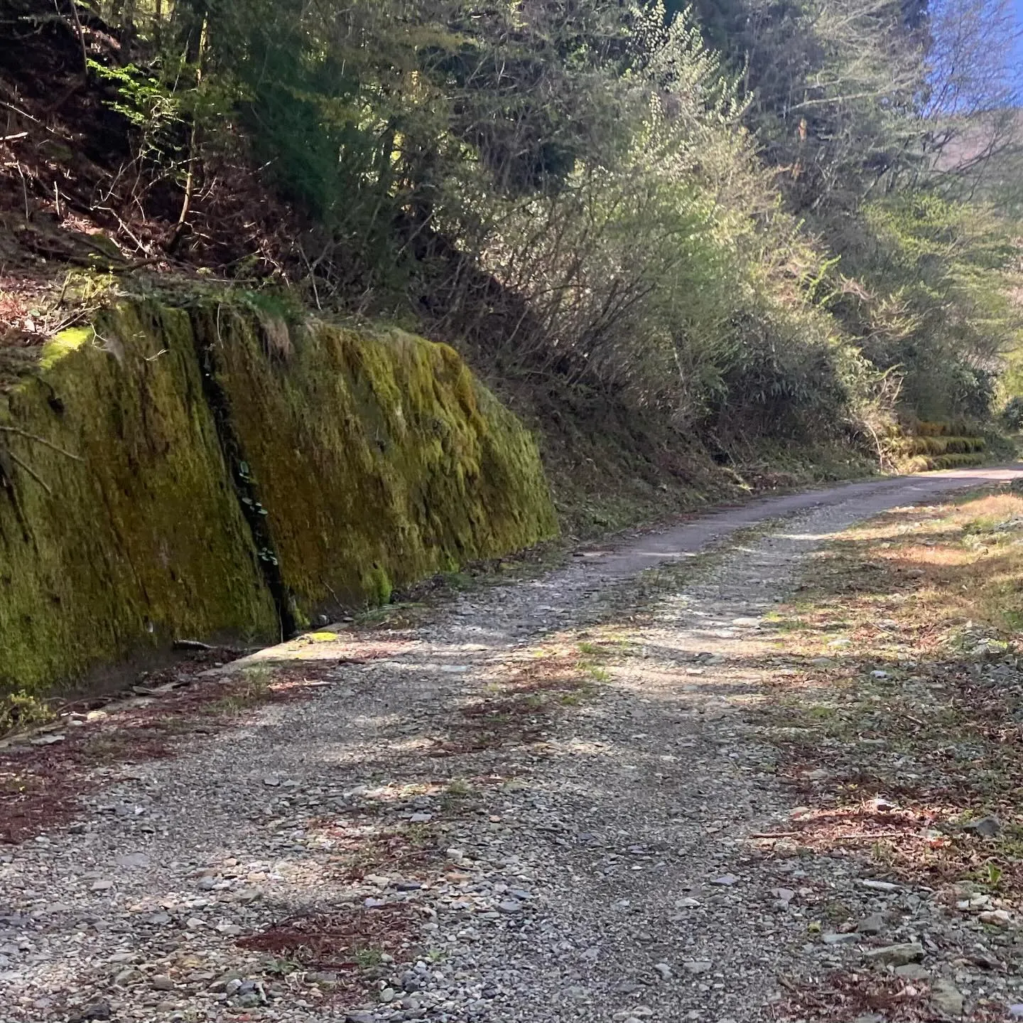 九州の秘境へ！🌿 