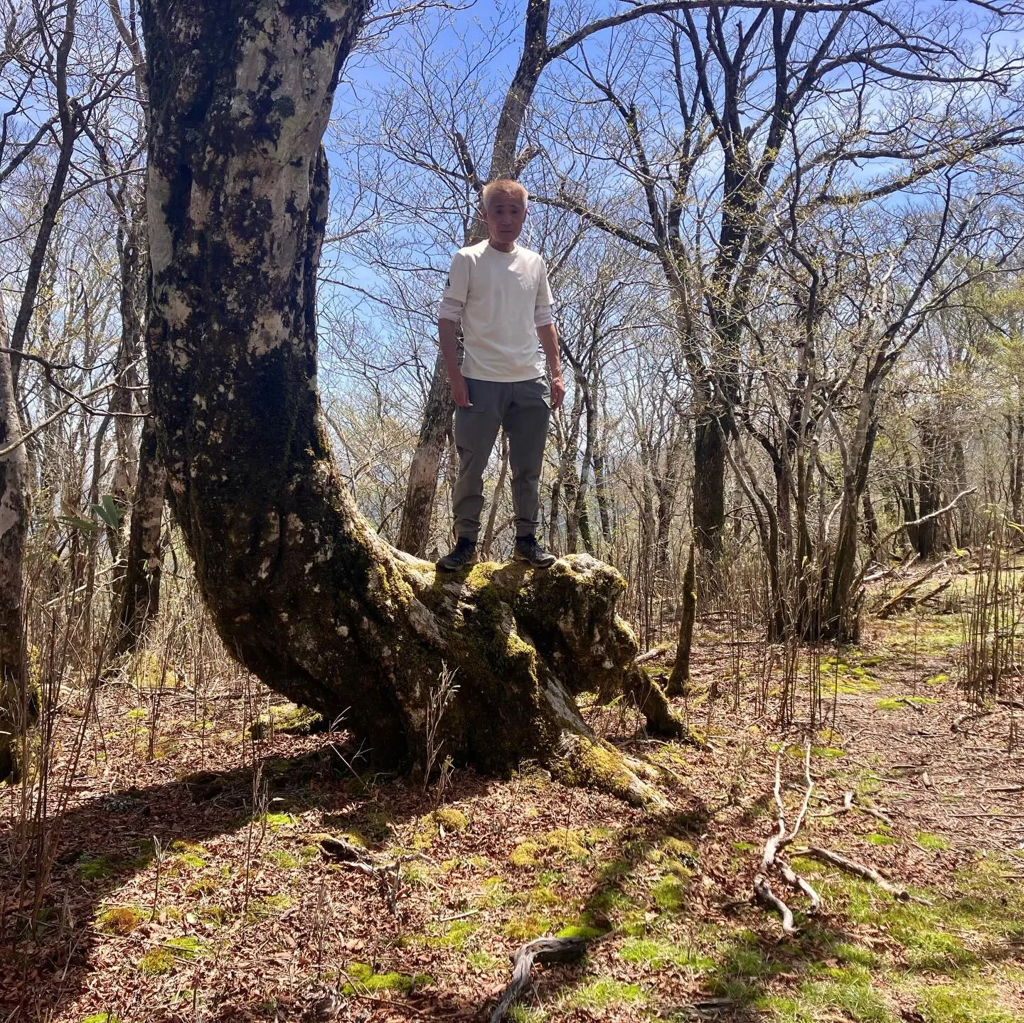 九州の秘境へ！🌿 