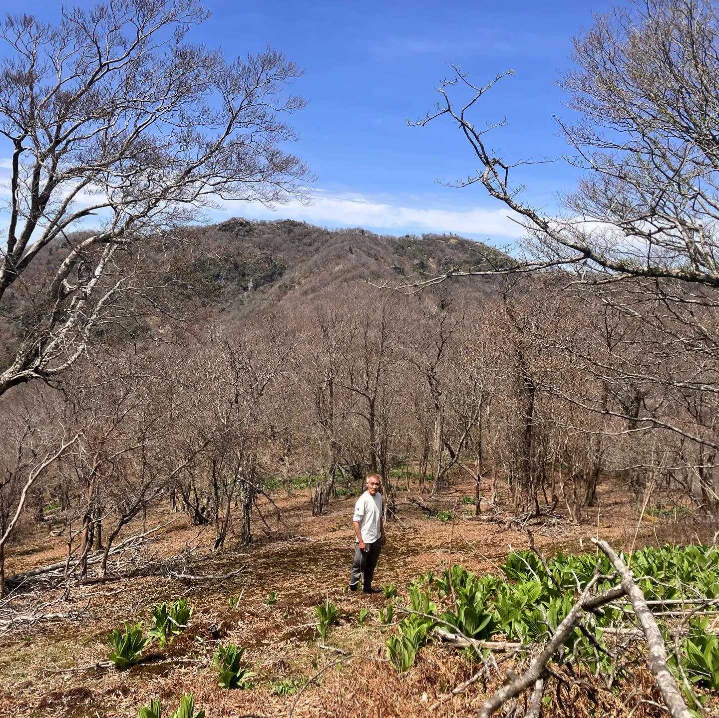 九州の秘境へ！🌿 