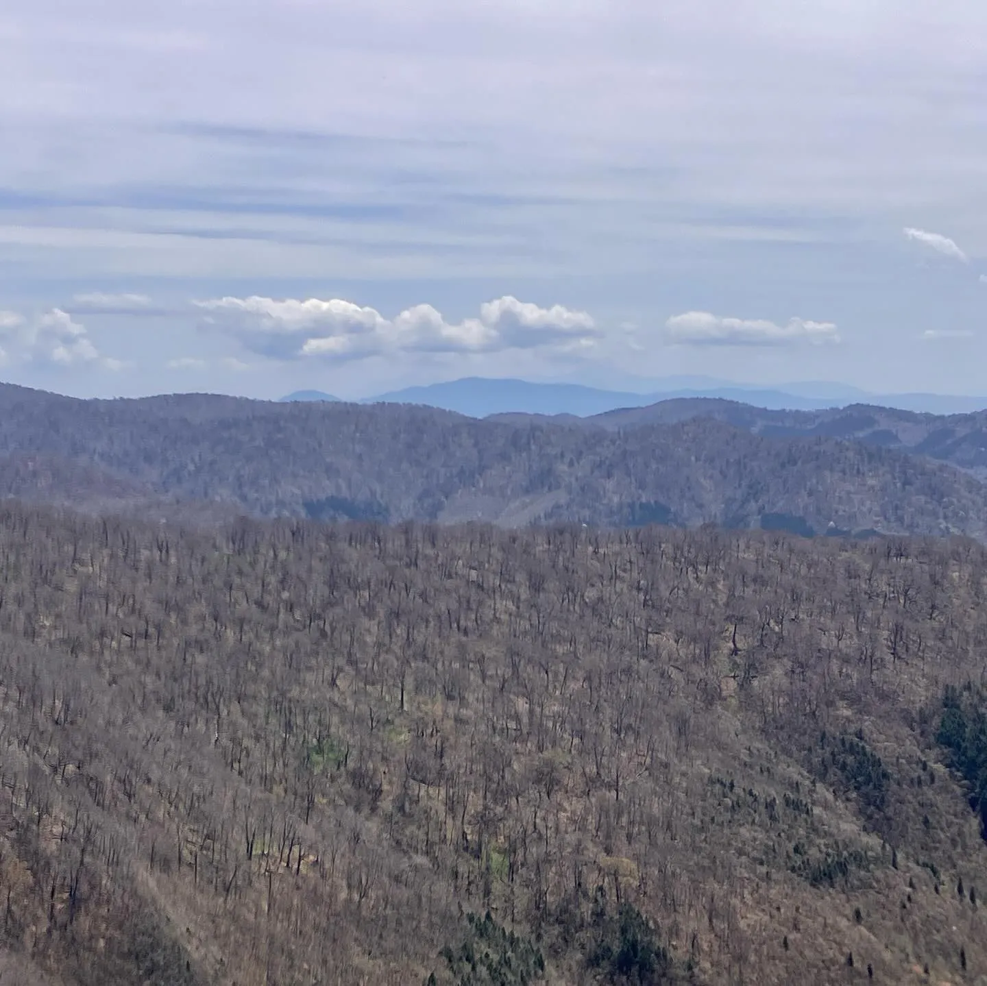 九州の秘境へ！🌿 