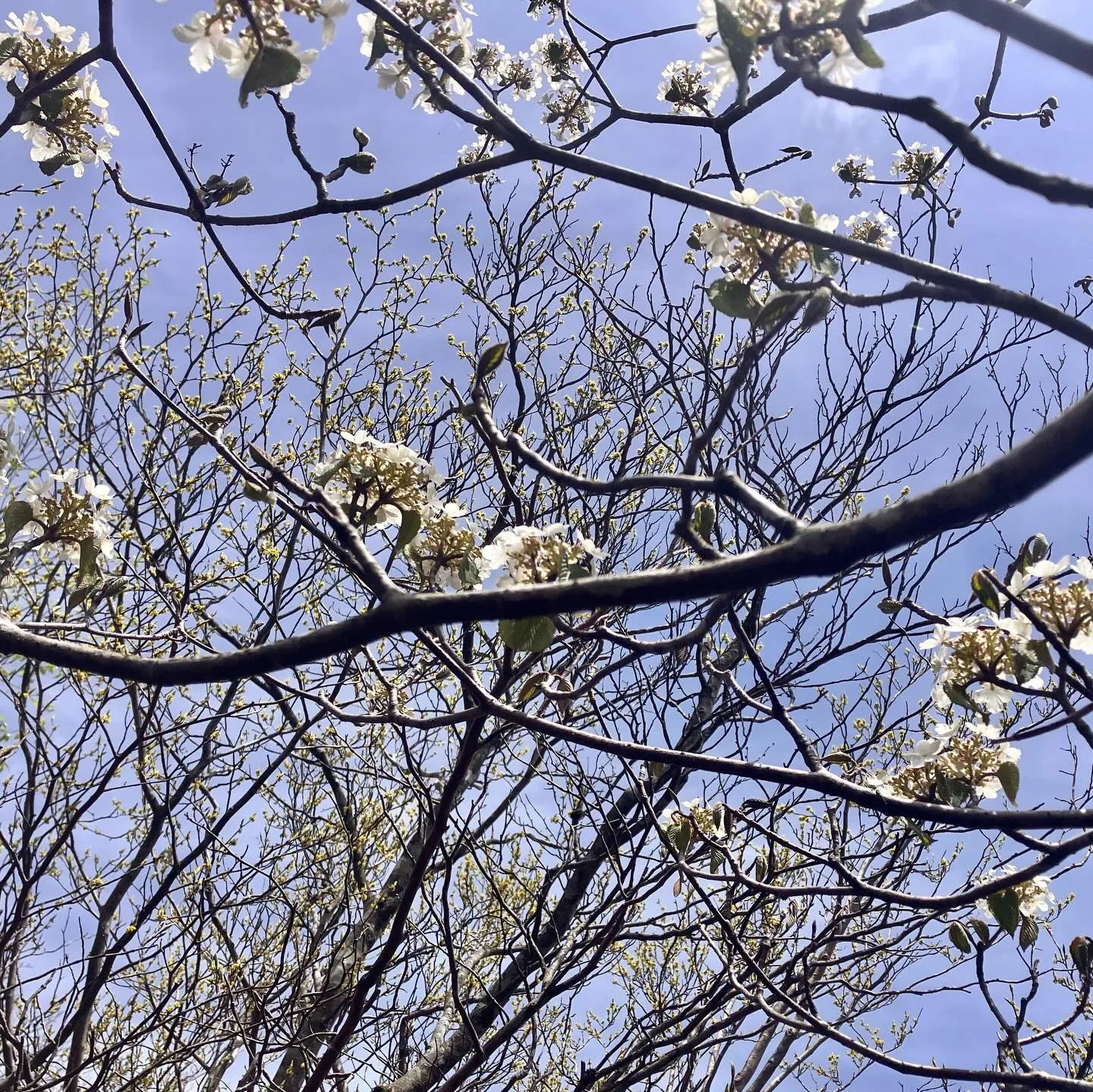 九州の秘境へ！🌿 