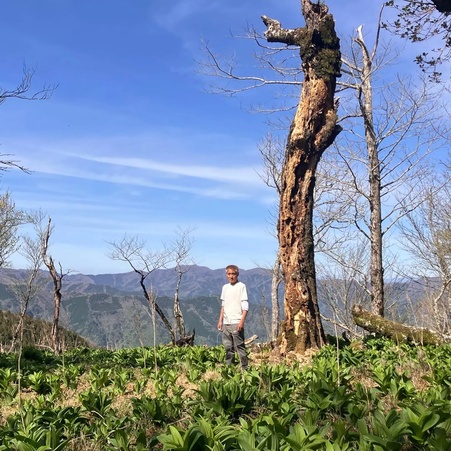 九州脊梁の大自然を満喫しませんか？