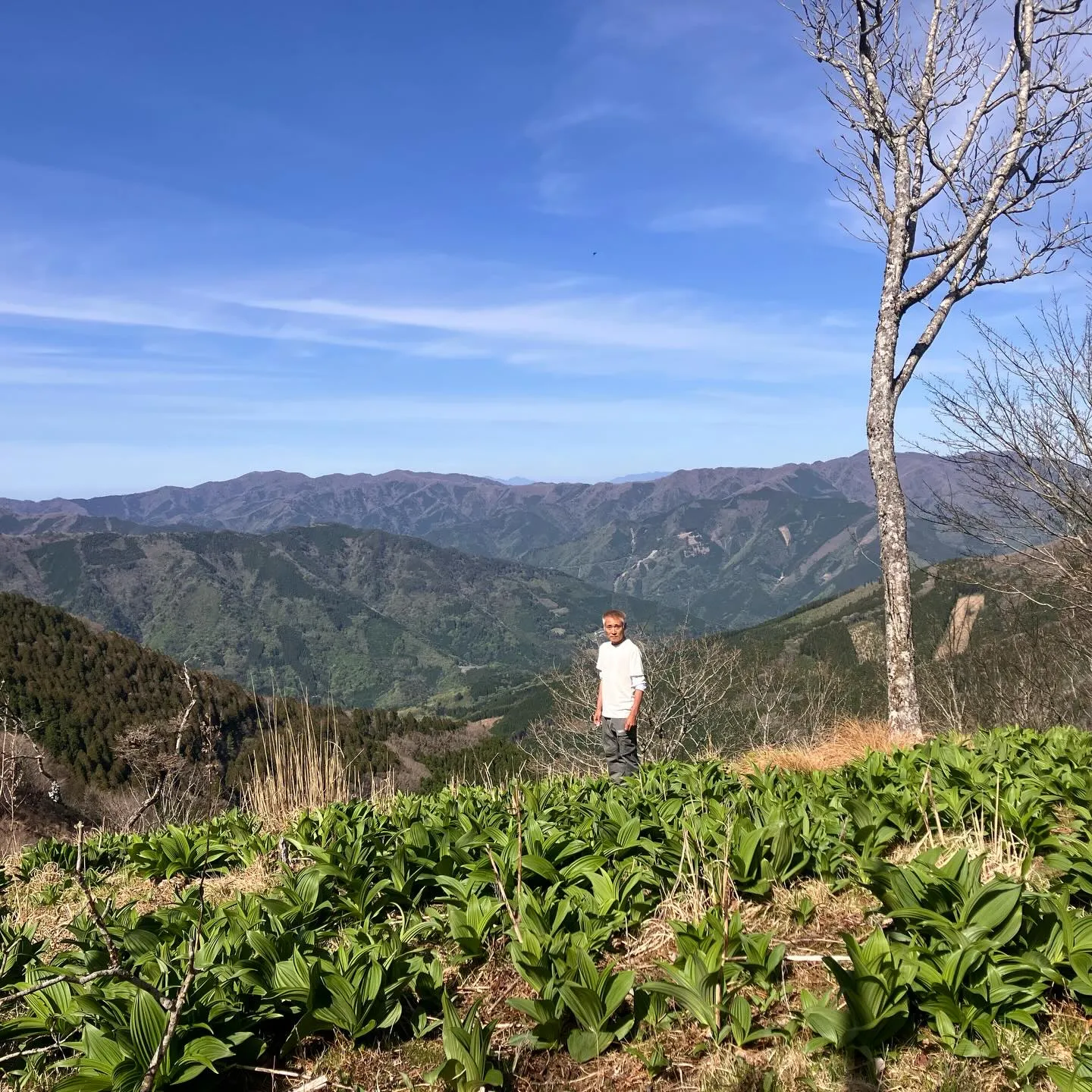 九州脊梁の大自然を満喫しませんか？