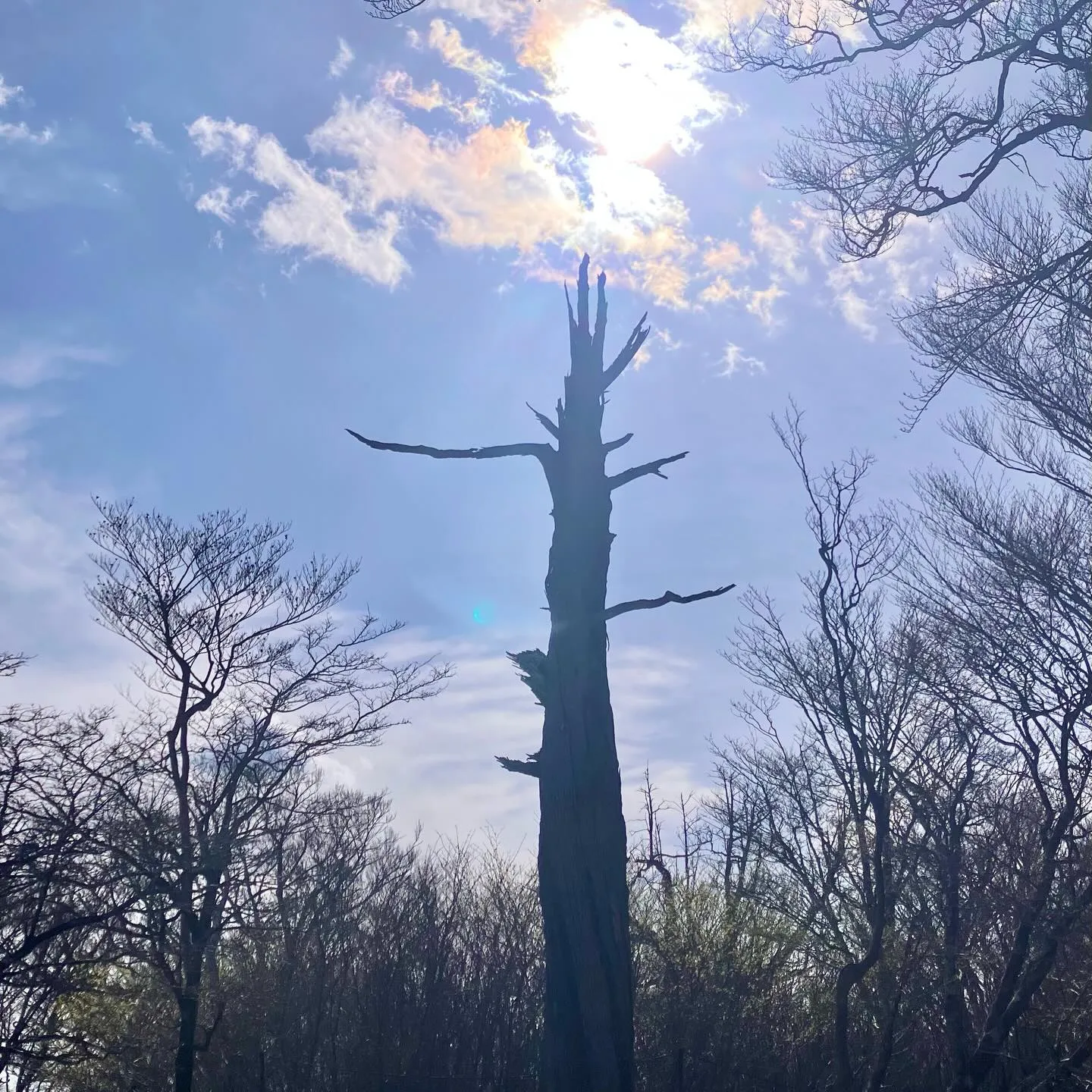 九州脊梁の大自然を満喫しませんか？